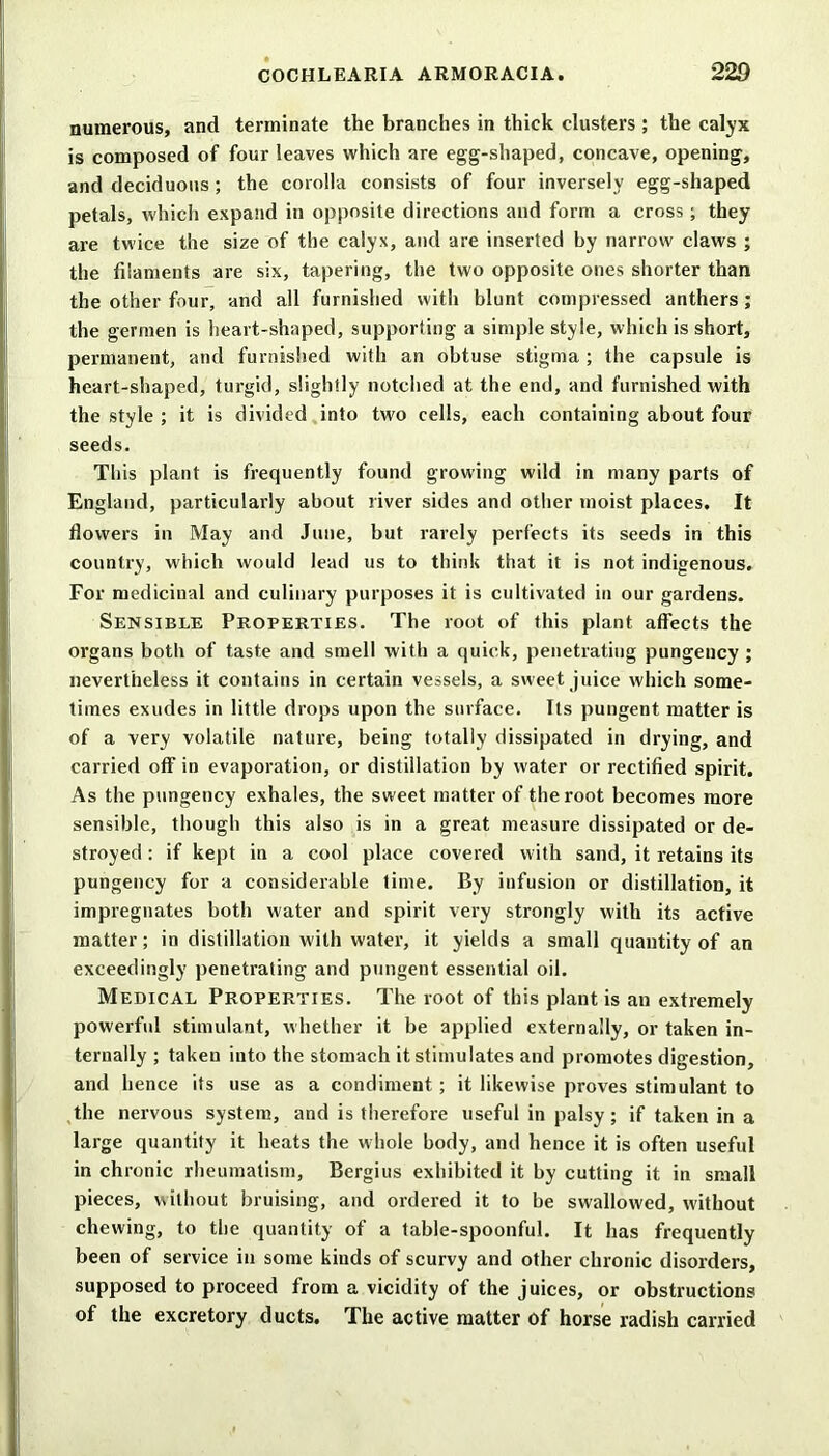 numerous, and terminate the branches in thick clusters ; the calyx is composed of four leaves which are egg-shaped, concave, opening, and deciduous ; the corolla consists of four inversely egg-shaped petals, which expand in opposite directions and form a cross ; they are twice the size of the calyx, and are inserted by narrow claws ; the filaments are six, tapering, the two opposite ones shorter than the other four, and all furnished with blunt compressed anthers ; the germen is heart-shaped, supporting a simple style, which is short, permanent, and furnished with an obtuse stigma ; the capsule is heart-shaped, turgid, slightly notched at the end, and furnished with the style ; it is divided into two cells, each containing about four seeds. This plant is frequently found growing wild in many parts of England, particularly about river sides and other moist places. It flowers in May and June, but rarely perfects its seeds in this country, which would lead us to think that it is not indigenous. For medicinal and culinary purposes it is cultivated in our gardens. Sensible Properties. The root of this plant affects the organs both of taste and smell with a quick, penetrating pungency ; nevertheless it contains in certain vessels, a sweet juice which some- times exudes in little drops upon the surface. Its pungent matter is of a very volatile nature, being totally dissipated in drying, and carried off in evaporation, or distillation by water or rectified spirit. As the pungency exhales, the sweet matter of the root becomes more sensible, though this also is in a great measure dissipated or de- stroyed : if kept in a cool place covered with sand, it retains its pungency for a considerable time. By infusion or distillation, it impregnates both water and spirit very strongly with its active matter; in distillation with water, it yields a small quantity of an exceedingly penetrating and pungent essential oil. Medical Properties. The root of this plant is an extremely powerful stimulant, whether it be applied externally, or taken in- ternally ; takeu into the stomach it stimulates and promotes digestion, and hence its use as a condiment ; it likewise proves stimulant to the nervous system, and is therefore useful in palsy; if taken in a large quantity it heats the whole body, and hence it is often useful in chronic rheumatism, Bergius exhibited it by cutting it in small pieces, without bruising, and ordered it to be swallowed, without chewing, to the quantity of a table-spoonful. It has frequently been of service in some kinds of scurvy and other chronic disorders, supposed to proceed from a vicidity of the juices, or obstructions of the excretory ducts. The active matter of horse radish carried