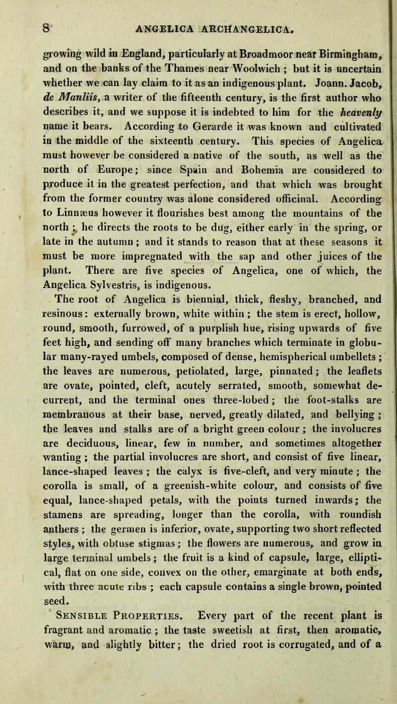 growing wild in England, particularly at Broadmoor near Birmingham, and on the banks of the Thames near Woolwich ; but it is uncertain whether we can lay claim to it as an indigenous plant. Joann. Jacob, de Manliis, a writer of the fifteenth century, is the first author who describes it, and we suppose it is indebted to him for the heavenly name it bears. According to Gerarde it was known and cultivated in the middle of the sixteenth century. This species of Angelica must however be considered a native of the south, as well as the north of Europe; since Spain and Bohemia are considered to produce it in the greatest perfection, and that which was brought from the former country was alone considered officinal. According to Linnajus however it flourishes best, among the mountains of the north he directs the roots to be dug, either early in the spring, or late in the autumn ; and it stands to reason that at these seasons it must be more impregnated with the sap and other juices of the plant. There are five species of Angelica, one of which, the Angelica Sylvestris, is indigenous. The root of Angelica is biennial, thick, fleshy, branched, and resinous: externally brown, white within ; the stem is erect, hollow, round, smooth, furrowed, of a purplish hue, rising upwards of five feet high, and sending off many branches which terminate in globu- lar many-rayed umbels, composed of dense, hemispherical umbellets; the leaves are numerous, petiolated, large, pinnated; the leaflets are ovate, pointed, cleft, acutely serrated, smooth, somewhat de- current, and the terminal ones three-lobed; the foot-stalks are membranous at their base, nerved, greatly dilated, and bellying ; the leaves and stalks are of a bright green colour ; the involucres are deciduous, linear, few in number, and sometimes altogether wanting ; the partial involucres are short, and consist of five linear, lance-shaped leaves ; the calyx is five-cleft, and very minute ; the corolla is small, of a greenish-white colour, and consists of five equal, lance-shaped petals, with the points turned inwards; the stamens are spreading, longer than the corolla, with roundish anthers ; the germen is inferior, ovate, supporting two short reflected styles, with obtuse stigmas ; the flowers are numerous, and grow in large terminal umbels; the fruit is a kind of capsule, large, ellipti- cal, flat on one side, convex on the other, emarginate at both ends, with three acute ribs ; each capsule contains a single brown, pointed seed. Sensible Properties. Every part of the recent plant is fragrant and aromatic ; the taste sweetish at first, then aromatic, warm, and slightly bitter; the dried root is corrugated, and of a