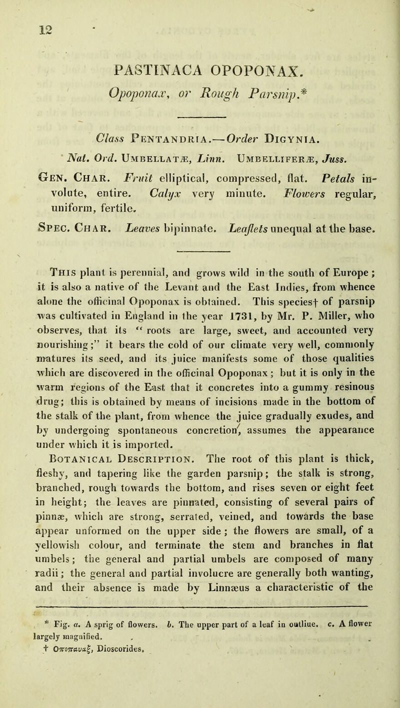 PASTIN'AC A OPOPONAX. Opoponax, or Rough Parsnip * Class Pentandria.— Order Digynia. Nat. Ord. Umbellat-35, Linn. Umbellifera:, Juss. Gen. Char. Fruit elliptical, compressed, flat. Petals in- volute, entire. Calyx very minute. Flowers regular, uniform, fertile. Spec. Char. Leaves bipinnate. Leaflets unequal at the base. This plant is perennial, and grows wild in the south of Europe ; it is also a native of the Levant and the East Indies, from whence alone the officinal Opoponax is obtained. This speciesf of parsnip was cultivated in England in the year 1731, by Mr. P. Miller, who observes, that its “ roots are large, sweet, and accounted very nourishing;” it bears the cold of our climate very well, commonly matures its seed, and its juice manifests some of those qualities which are discovered in the officinal Opoponax; but it is only in the warm regions of the East that it concretes into a gummy resinous drug; this is obtained by means of incisions made in the bottom of the stalk of the plant, from whence the juice gradually exudes, and by undergoing spontaneous concretion^ assumes the appearance under which it is imported. Botanical Description. The root of this plant is thick, fleshy, and tapering like the garden parsnip; the stalk is strong, branched, rough towards the bottom, and rises seven or eight feet in height; the leaves are pinnated, consisting of several pairs of pinnae, which are strong, serrated, veined, and towards the base appear unformed on the upper side ; the flowers are small, of a yellowish colour, and terminate the stem and branches in flat umbels; the general and partial umbels are composed of many radii; the general and partial involucre are generally both wanting, and their absence is made by Linnaeus a characteristic of the * Fig. a. A sprig of flowers. 6. The upper part of a leaf in outliue. c. A flower largely magnified. i Otjwttuaf, Dioscorides.