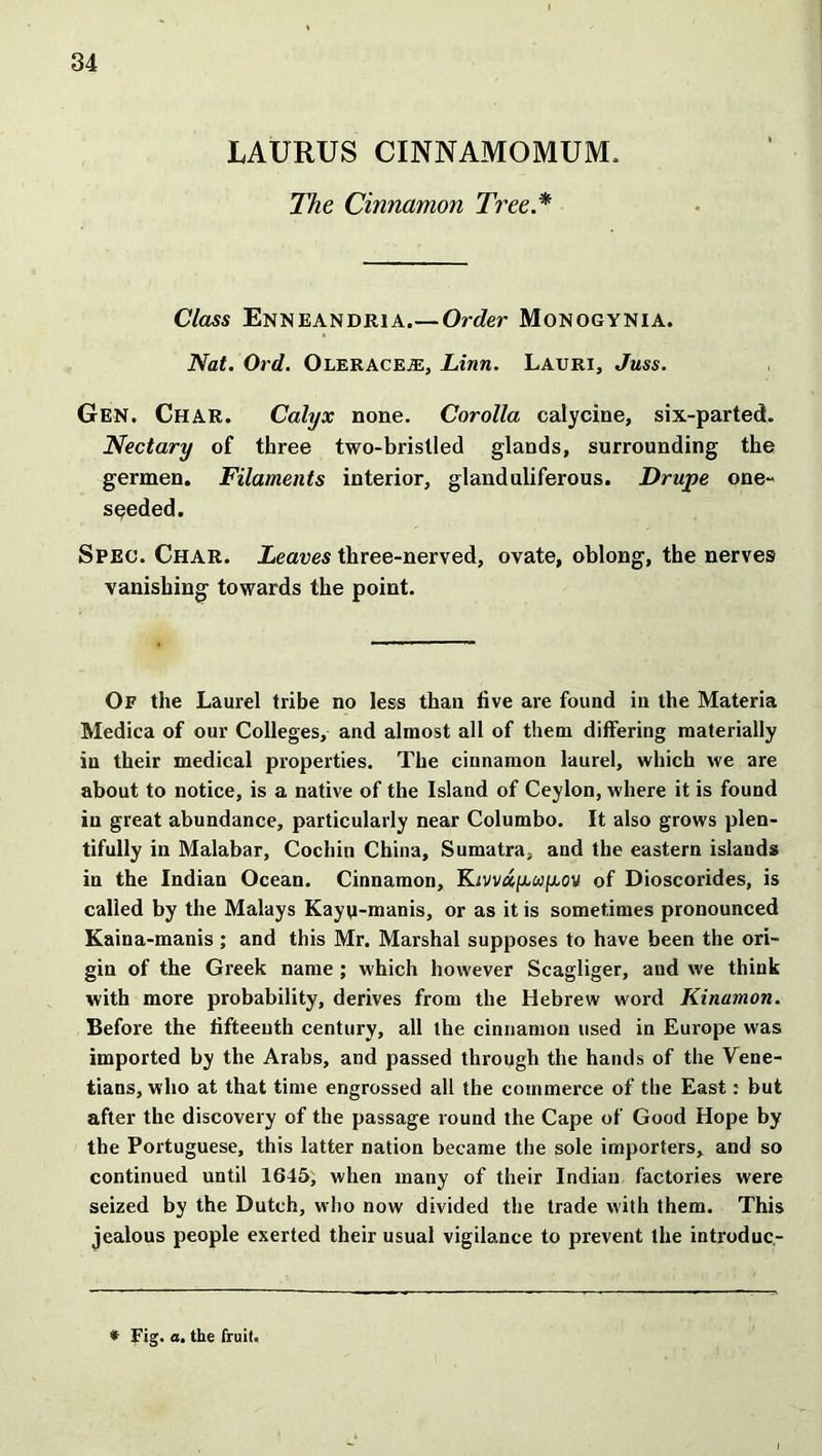 LAURUS CINNAMOMUM. The Cinnamon Tree * Class Enneandria.—Order Monogynia. Nat. Ord. Oleracea:, Linn. Lauri, Juss. Gen. Char. Calyx none. Corolla calycine, six-parted. Nectary of three two-bristled glands, surrounding the germen. Filaments interior, glanduliferous. Drupe one- seeded. Spec. Char. Leaves three-nerved, ovate, oblong, the nerves vanishing towards the point. Of the Laurel tribe no less than five are found in the Materia Medica of our Colleges, and almost all of them differing materially in their medical properties. The cinnamon laurel, which we are about to notice, is a native of the Island of Ceylon, where it is found in great abundance, particularly near Columbo. It also grows plen- tifully in Malabar, Cochin China, Sumatra, and the eastern islands in the Indian Ocean. Cinnamon, KiW«/xcofiov of Dioscorides, is called by the Malays Kayu-manis, or as it is sometimes pronounced Kaina-manis ; and this Mr. Marshal supposes to have been the ori- gin of the Greek name ; which however Scagliger, and we think with more probability, derives from the Hebrew word Kinamon. Before the fifteenth century, all the cinnamon used in Europe was imported by the Arabs, and passed through the hands of the Vene- tians, who at that time engrossed all the commerce of the East: but after the discovery of the passage round the Cape of Good Hope by the Portuguese, this latter nation became the sole importers, and so continued until 1645, when many of their Indian factories were seized by the Dutch, who now divided the trade with them. This jealous people exerted their usual vigilance to prevent the introduc,- * Fig. a. the fruit.