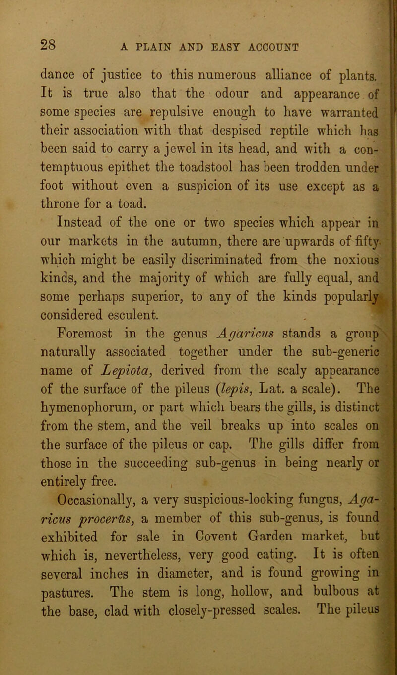 dance of justice to this numerous alliance of plants. It is true also that the odour and appearance of some species are repulsive enough to have warranted their association with that despised reptile which has been said to carry a jewel in its head, and with a con- temptuous epithet the toadstool has been trodden under foot without even a suspicion of its use except as a throne for a toad. Instead of the one or two species which appear in our markets in the autumn, there are upwards of fifty, which might be easily discriminated from the noxious kinds, and the majority of which are fully equal, and some perhaps superior, to any of the kinds popularly considered esculent. Foremost in the genus Agaricus stands a group naturally associated together under the sub-generic name of Lepiota, derived from the scaly appearance of the surface of the pileus (lepis, Lat. a scale). The hymenophorum, or part which bears the gills, is distinct from the stem, and the veil breaks up into scales on the surface of the pileus or cap. The gills differ from those in the succeeding sub-genus in being nearly or entirely free. , Occasionally, a very suspicious-looking fungus, Aga- ricus proceriis, a member of this sub-genus, is found exhibited for sale in Covent Garden market, but which is, nevertheless, very good eating. It is often several inches in diameter, and is found growing in pastures. The stem is long, hollow, and bulbous at the base, clad with closely-pressed scales. The pileus