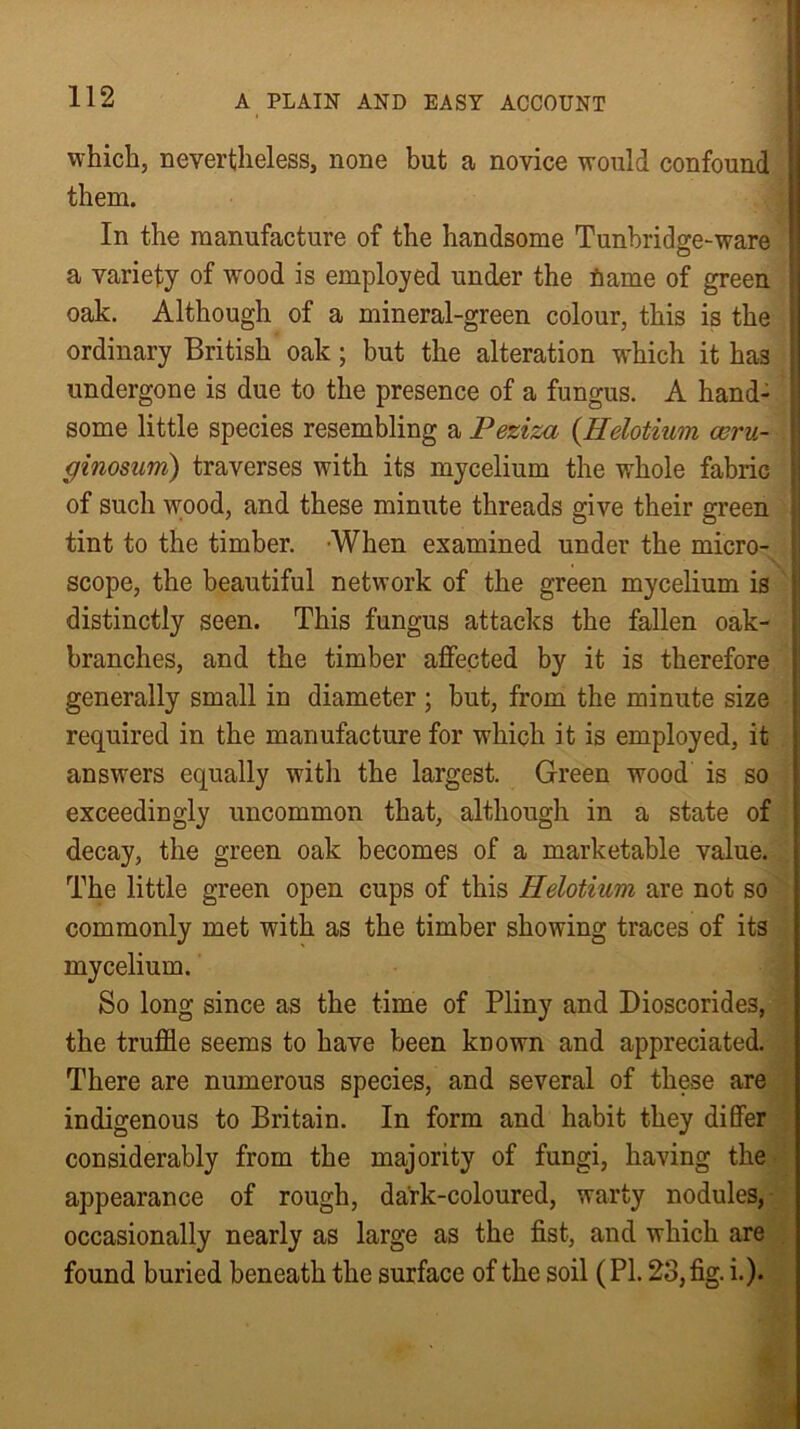 which, nevertheless, none but a novice would confound them. In the manufacture of the handsome Tunbridge-ware a variety of wood is employed under the fiame of green oak. Although of a mineral-green colour, this is the ! ordinary British oak ; but the alteration which it has undergone is due to the presence of a fungus. A hand- ' some little species resembling a Peziza (Helotium coru- ! ginosum) traverses with its mycelium the whole fabric j of such wood, and these minute threads give their green j tint to the timber. When examined under the micro- scope, the beautiful network of the green mycelium is distinctly seen. This fungus attacks the fallen oak- branches, and the timber affected by it is therefore generally small in diameter ; but, from the minute size required in the manufacture for which it is employed, it answers equally with the largest. Green wood is so exceedingly uncommon that, although in a state of decay, the green oak becomes of a marketable value. The little green open cups of this Helotium are not so commonly met with as the timber showing traces of its mycelium. So long since as the time of Pliny and Dioscorides, the truffle seems to have been known and appreciated. There are numerous species, and several of these are indigenous to Britain. In form and habit they differ considerably from the majority of fungi, having the appearance of rough, dark-coloured, warty nodules, occasionally nearly as large as the fist, and which are found buried beneath the surface of the soil (PI. 23, fig. i.).