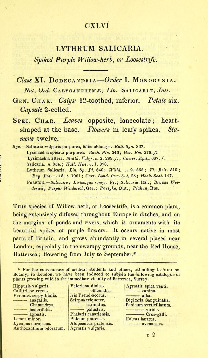 LYTHRUM SALICARIA. Spiked Purple Willow-herb, or Loosestrife. Class XI. Dodecandria—Order I. Monogynia. Nat. Ord. Calycanthemje, Lin. Salicari^:, Juss. Gen. Char. Calyx 12-toothed, inferior. Petals six. Capsule 2-celled. Spec. Char. Leaves opposite, lanceolate; heart- shaped at the base. Flowers in leafy spikes. Sta- mens twelve. Syn.—Saliearia vulgaris purpurea, foliis oblongis. Raii. Syn. 367. Lysimachia spicata purpurea. Bauh. Pin. 246; Ger. Em. 276. f. Lysimachia altera. Matth. Valgr. v. 2. 299./.; Gamer. Epit.. 687. f. Saliearia. n. 854.; Hall. Hist. v. 1. 378. Lythrura Saliearia. Lin. Sp. PI. 640; WiUd. v. 2. 865; FI. Brit. 510; Eng. Bot. v. 15. t. 1061 ; Curt. Lond. fuse. 3. t. 28; Hook. Scot. 147. Foreign.—Salicaire ; Lisimaque rouge, Fr.; Saliearia, Ital.; Braune Wei- derich ; Purpur Weiderich, Ger. ; Partyke, Dnt.; Plakun, Rus. This species of Willow-herb, or Loosestrife, is a common plant, being extensively diffused throughout Europe in ditches, and on the margins of ponds and rivers, which it ornaments with its beautiful spikes of purple flowers. It occurs native in most parts of Britain, and grows abundantly in several places near London, especially in the swampy grounds, near the Red House, Battersea; flowering from July to September.* * For the convenience of medical students and others, attending lectures on Botany, in London, we have been induced to subjoin the following catalogue of plants growing wild in the immediate vicinity of Battersea, Surrey. Hippuris vulgaris. Callitriche verna. Veronica serpyllifolia. anagallis. Chamsedrys. hederifolia. agrestis. Lemna minor. Lycopus europaeus. Anthoxanthum odoratum. Valeriana dioica. officinalis. Iris Pseud-acorus. Scirpus triqueter. carinatus. palustris. Phalaris canariensis. Phleum pratense. Alopecurus pratensis. Agrostis vulgaris. Agrostis spica venti. canina. alba. Digitaria Sanguinalis. Panicum verticillatum. '1 - viride. Crus-galli. Holcus lanatus. avenaceus. Y 2