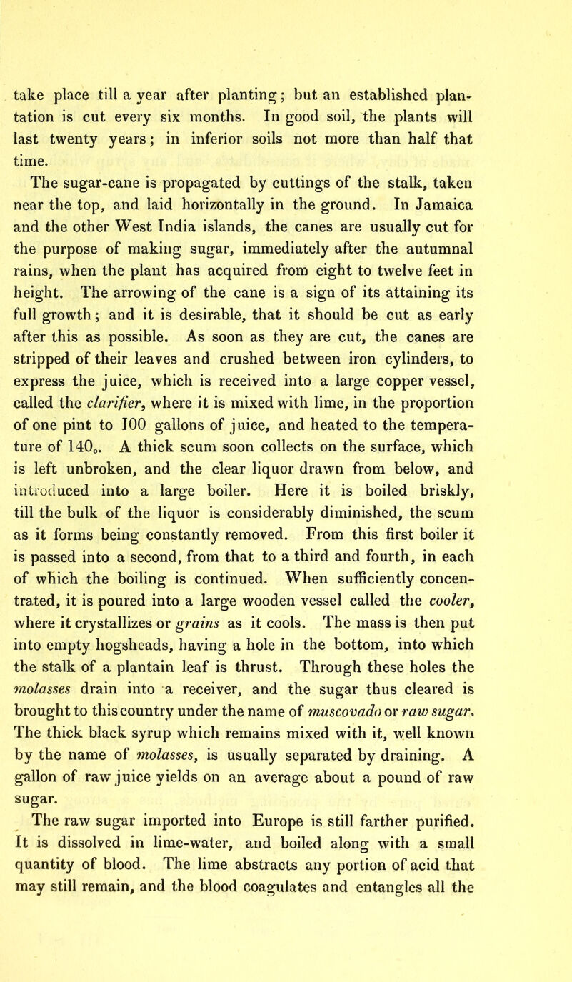 take place till a year after planting; but an established plan- tation is cut every six months. In good soil, the plants will last twenty years; in inferior soils not more than half that time. The sugar-cane is propagated by cuttings of the stalk, taken near the top, and laid horizontally in the ground. In Jamaica and the other West India islands, the canes are usually cut for the purpose of making sugar, immediately after the autumnal rains, when the plant has acquired from eight to twelve feet in height. The arrowing of the cane is a sign of its attaining its full growth; and it is desirable, that it should be cut as early after this as possible. As soon as they are cut, the canes are stripped of their leaves and crushed between iron cylinders, to express the juice, which is received into a large copper vessel, called the clarifier, where it is mixed with lime, in the proportion of one pint to 100 gallons of juice, and heated to the tempera- ture of 140o. A thick scum soon collects on the surface, which is left unbroken, and the clear liquor drawn from below, and introduced into a large boiler. Here it is boiled briskly, till the bulk of the liquor is considerably diminished, the scum as it forms being constantly removed. From this first boiler it is passed into a second, from that to a third and fourth, in each of which the boiling is continued. When sufficiently concen- trated, it is poured into a large wooden vessel called the cooler, where it crystallizes or grains as it cools. The mass is then put into empty hogsheads, having a hole in the bottom, into which the stalk of a plantain leaf is thrust. Through these holes the molasses drain into a receiver, and the sugar thus cleared is brought to this country under the name of muscovado or raw sugar. The thick black syrup which remains mixed with it, well known by the name of molasses, is usually separated by draining. A gallon of raw juice yields on an average about a pound of raw sugar. The raw sugar imported into Europe is still farther purified. It is dissolved in lime-water, and boiled along with a small quantity of blood. The lime abstracts any portion of acid that may still remain, and the blood coagulates and entangles all the