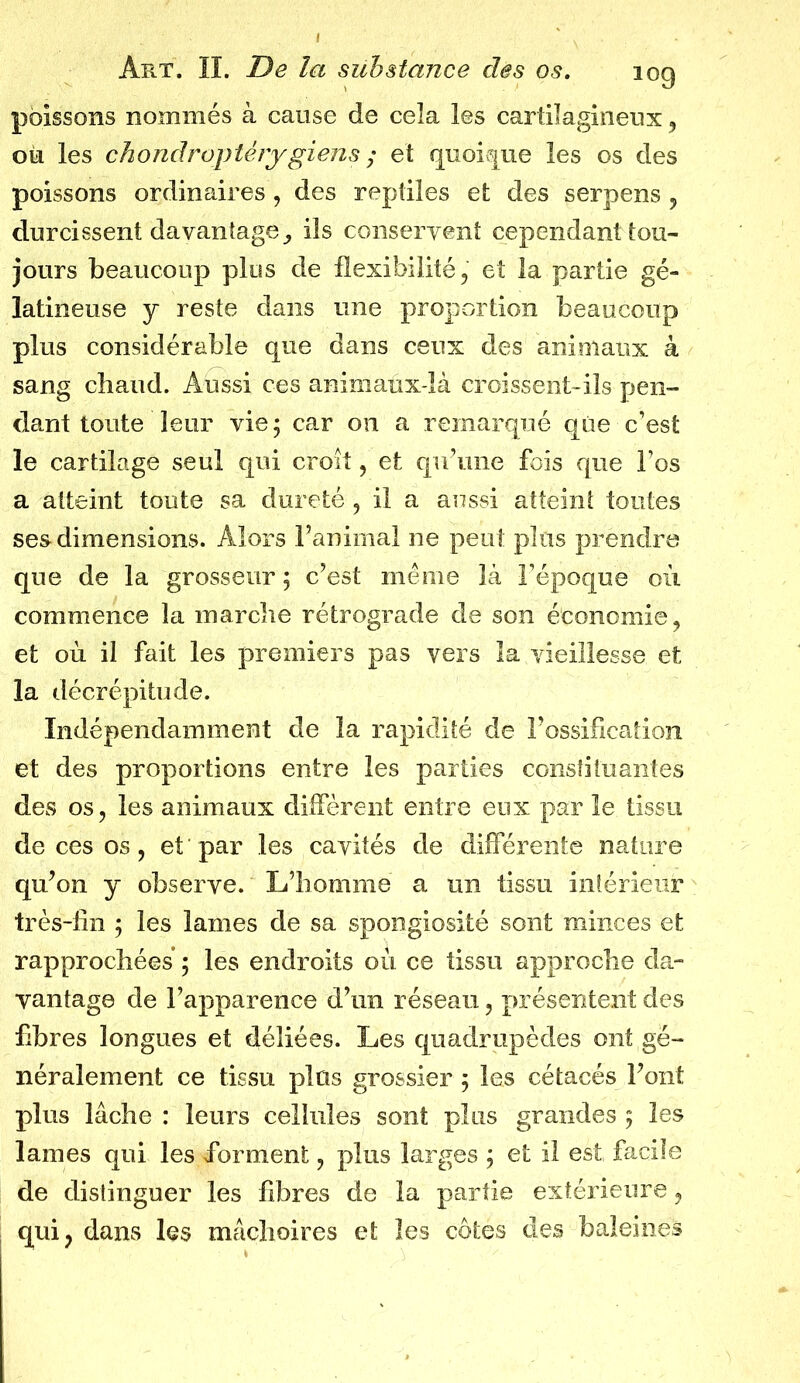 poissons nommés à cause de cela les cartilagineux , où les chondroptérygiens ; et quoique les os des poissons ordinaires, des reptiles et des serpens , durcissent davantage,, iis conservent cependant tou- jours beaucoup plus de flexibilité, et la partie gé- latineuse y reste dans une proportion beaucoup plus considérable que dans ceux des animaux à sang chaud. Aussi ces animaux-là croissent-ils pen- dant toute leur vie ; car 011 a remarqué qiie c’est le cartilage seul qui croit, et qu’une fois que l’os a atteint toute sa dureté , il a aussi atteint toutes ses dimensions. Alors l’animal ne peut plus prendre que de la grosseur 5 c’est même là l’époque où commence la marche rétrograde de son économie, et où il fait les premiers pas vers la vieillesse et la décrépitude. Indépendamment de la rapidité de l’ossification et des proportions entre les parties constituantes des os, les animaux diffèrent entre eux par le tissu de ces os, et par les cavités de différente nature qu’on y observe. L’homme a un tissu intérieur très-fln 5 les lames de sa spongiosité sont minces et rapprochées ; les endroits où ce tissu approche da- vantage de l’apparence d’un réseau, présentent des fibres longues et déliées. Les quadrupèdes ont gé- néralement ce tissu plus grossier 5 les cétacés l’ont plus lâche : leurs cellules sont plus grandes 5 les lames qui les forment, plus larges ; et il est facile de distinguer les fibres de la partie extérieure, qui, dans les mâchoires et les côtes des baleines