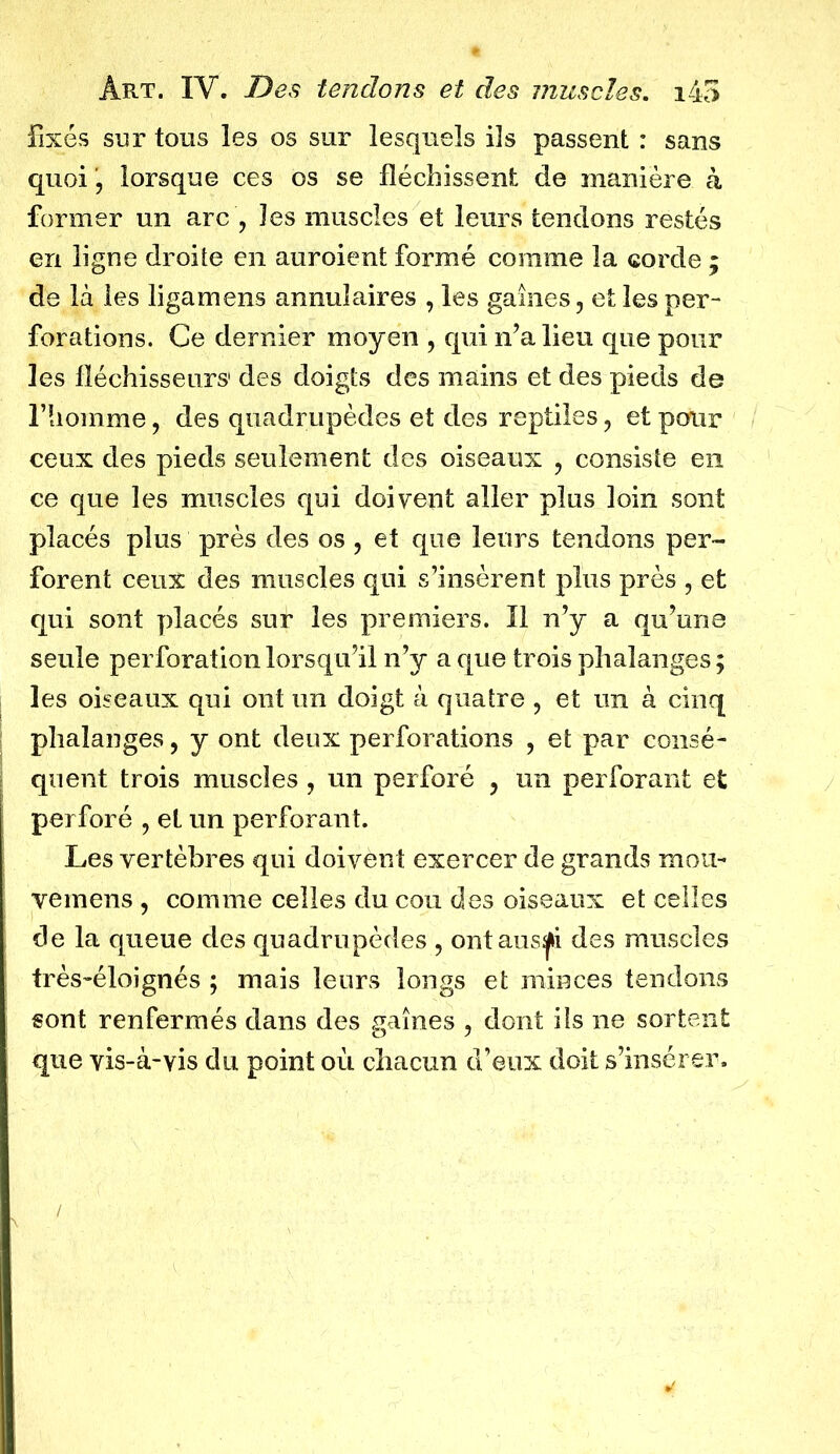 fixés sur tous les os sur lesquels ils passent : sans quoi lorsque ces os se fléchissent de manière à former un arc , les muscles et leurs tendons restés en ligne droite en auroient formé comme la corde ; de là les ligamens annulaires , les gaines, et les per- forations. Ce dernier moyen , qui n’a lieu que pour les fléchisseurs' des doigts des mains et des pieds de l’homme, des quadrupèdes et des reptiles, et pour ceux des pieds seulement des oiseaux , consiste en ce que les muscles qui doivent aller plus loin sont placés plus près des os , et que leurs tendons per- forent ceux des muscles qui s’insèrent plus près , et qui sont placés sur les premiers. Il n’y a qu’une seule perforation lorsqu’il n’y a que trois phalanges ; les oiseaux qui ont un doigt à quatre , et un à cinq phalanges, y ont deux perforations , et par consé- quent trois muscles, un perforé , un perforant et perforé , et un perforant. Les vertèbres qui doivent exercer de grands mou- vemens , comme celles du cou des oiseaux et celles de la queue des quadrupèdes , ontaus^i des muscles très-éloignés ; mais leurs longs et minces tendons sont renfermés dans des gaines , dont ils ne sortent que vis-à-vis du point où chacun d’eux doit s’insérer.