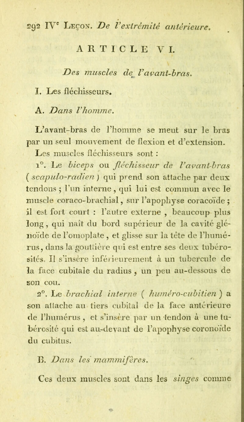 ARTICLE VI. Des muscles dem F avant-bras. I. Les fléchisseurs. A. Dans Vhomme. L’avant-bras de l’homme se meut sur le bras par un seul mouvement de flexion et d’extension. Les muscles fléchisseurs sont : i°. Le biceps ou fléchisseur cîe Favant-bras ( scapulo-radien ) qui prend son attache par deux tendons ; l’un interne, qui lui est commun avec le muscle coraco-brachial, sur l’apophyse coracoïde; il est fort court : l’autre externe , beaucoup plus long , qui naît du bord supér ieur de la cavité glé- noïde de l’omoplate , et glisse sur la tête de l’humé- rus, dans la goutSière qui est entre ses deux tubéro- sités, Il s’insère inférieurement à un tubercule de la face cubitale du radius , un peu au-dessous de son cou. 2°. Le brachial interne ( huméro-cubitien ) a son atlâche au tiers cubital de la face antérieure de l’humérus , et s’insère par un tendon à une tu- bérosité qui est au-devant de l’apophyse coronoïde du cubitus. 13. Dans les mammifères. Ces deux muscles sont dans les singes comme