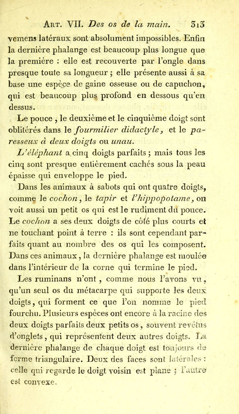 vemens latéraux sont absolument impossibles. Enfin la dernière phalange est beaucoup plus longue que la première : elle est recouverte par l’ongle dans presque toute sa longueur ; elle présente aussi à sa base une espèce de gaine osseuse ou de capuchon, qui est beaucoup plus profond en dessous qu’en dessus. Le pouce , le deuxième et le cinquième doigt sont oblitérés dans le fourmilier didactyle, et le pa- resseux à deux doigts ou unau. L’éléphant a,cinq doigts parfaits ; mais tous les cinq sont presque entièrement cachés sous la peau épaisse qui enveloppe le pied. Dans les animaux à sabots qui ont quatre doigts, comme le cochon, le tapir et Vhippopotame, on voit aussi un petit os qui est le rudiment du pouce. Le cochon a ses deux doigts de côté plus courts et ne touchant point à terre : ils sont cependant par- faits quant au nombre des os qui les composent. Dans ces animaux, la dernière phalange est moulée dans l’intérieur de la corne qui termine le pied. Les ruminans n’ont , comme nous l’avons vu, qu’un seul os du métacarpe qui supporte les deux doigts, qui forment ce que l’on nomme le pied fourchu. Plusieurs espèces ont encore à la racine des deux doigts parfaits deux petits os, souvent revêtus d’onglets, qui représentent deux autres doigts. La dernière phalange de chaque doigt est toujours de ferme triangulaire. Deux des faces sont latérales : celle qui regarde le doigt voisin est plane : l’autre est convexe.