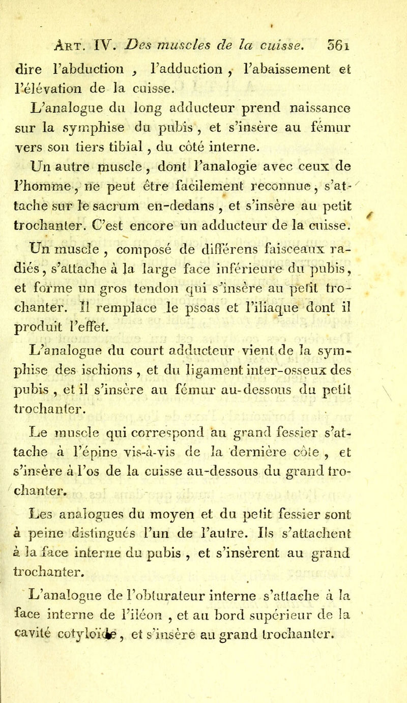 dire Fabduction , l’adduction , l’abaissement et l’élévation de la cuisse. L’analogue du long adducteur prend naissance sur la syrnphise du pubis , et s’insère au fémur vers son tiers tibial, du coté interne. Un autre muscle, dont l’analogie avec ceux de l’homme, ne peut être facilement reconnue, s’at- tache sur le sacrum en-dedans , et s’insère au petit trochanter. C’est encore un adducteur de la cuisse. Un muscle , composé de dilférens faisceaux ra- diés, s’attache à la large face inférieure du pubis, et forme un gros tendon qui s’insère au petit tro- chanter. 11 remplace le psoas et l’iliaque dont il produit l’effet. L’analogue du court adducteur vient de la sym- phise des ischions , et du ligament inter-osseux des pubis , et il s’insère au fémur au-dessous du petit trochanter. Le muscle qui correspond au grand fessier s’at- tache à l’épine vis-à-vis de la dernière côte , et s’insère à l’os de la cuisse au-dessous du grand tro- chanter. Les analogues du moyen et du petit fessier sont à peine distingués l’un de l’autre. Ils s’attachent à la face interne du pubis , et s’insèrent au grand trochanter. L’analogue de l’obturateur interne s’attache à la face interne de l’iléon , et au bord supérieur de la cavité cotyloïdke, et s’insère au grand trochanter.