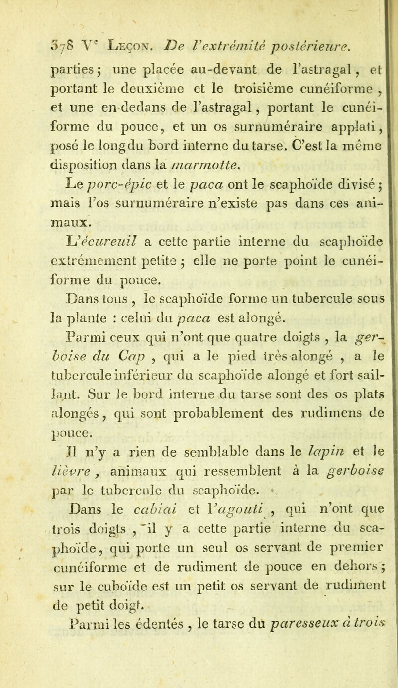 parties; une placée au-devant de l’astragal, et portant le deuxième et le troisième cunéiforme , et une en-dedans de l’astragal , portant le cunéi- forme du pouce, et un os surnuméraire appîati, posé le iongdu bord interne du tarse. C’est la même disposition dans la marmotte. Le porc-épic et le paca ont le scaphoïde divisé ; mais l’os surnuméraire n’existe pas dans ces ani- maux. L’écureuil a cette partie interne du scaphoïde extrêmement petite ; elle ne porte point le cunéi- forme du pouce. Dans tous , le scaphoïde forme un tubercule sous la plante : celui du paca est aiongé. Parmi ceux qui n’ont que quatre doigts , la ger- boise du Cap , qui a le pied très aiongé , a le tubercule inférieur du scaphoïde aiongé et fort sail- lant. Sur le bord interne du tarse sont des os plats alongés, qui sont probablement des rudimens de pouce. Il n’y a rien de semblable dans le lapin et le lièvre > animaux qui ressemblent à la gerboise par le tubercule du scaphoïde. Dans le ccibiai et Y agouti , qui n’ont que trois doigts , 'il y a cette partie interne du sca- phoïde, qui porte un seul os servant de premier cunéiforme et de rudiment de pouce en dehors; sur le cuboïde est un petit os servant de rudiment de petit doigt. Parmi les édentés , le tarse du paresseux à trois