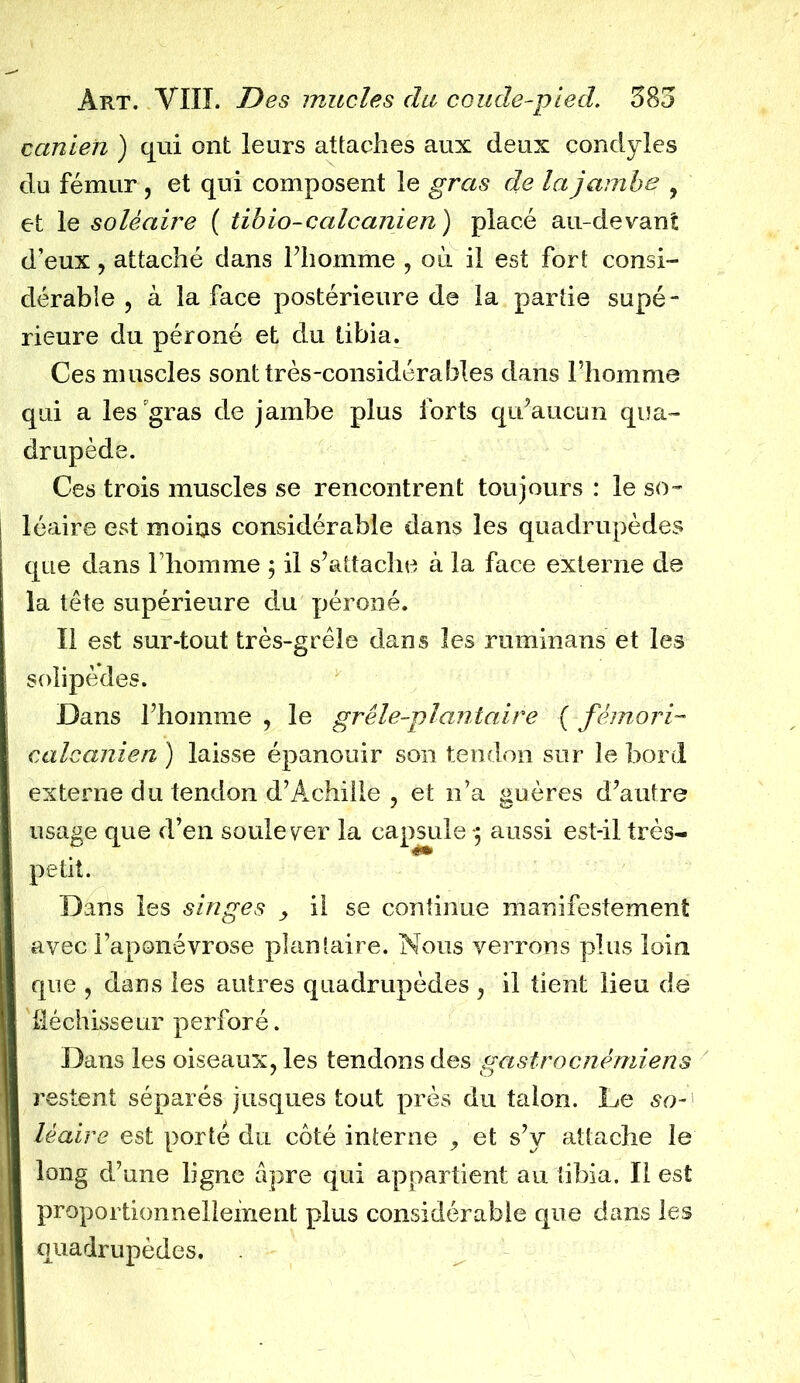 canieii ) qui ont leurs attaches aux deux condyles du fémur , et qui composent le gras de la jambe f et le soléaire ( tibio-calcanien) placé au-devant d’eux, attaché dans l’homme , où il est fort consi- dérable , à la face postérieure de la partie supé- rieure du péroné et du tibia. Ces muscles sont très-considérables dans l’homme qui a les gras de jambe plus forts qu’aucun qua- drupède. Ces trois muscles se rencontrent toujours : le so- léaire est moins considérable dans les quadrupèdes que dans l’homme ; il s’attache à la face externe de la tête supérieure du péroné. Il est sur-tout très-grêle dans les ruminans et les soïipèdes. Dans l’homme , le grêle-plantaire {fèmori- calcanien ) laisse épanouir son tendon sur le bord externe du tendon d’Achille , et n’a guères d’autre usage que d’en soulever la capsule •; aussi est-il très- petit. Dans les singes > il se continue manifestement avec l’aponévrose plantaire. Nous verrons plus loin que , dans les autres quadrupèdes , il tient lieu de fléchisseur perforé. Dans les oiseaux, les tendons des gastrocnémiens restent séparés jusques tout près du talon. Le so- lèaire est porté du côté interne et s’y attache le long d’une ligne âpre qui appartient au tibia. Il est proportionnellement plus considérable que dans les quadrupèdes.