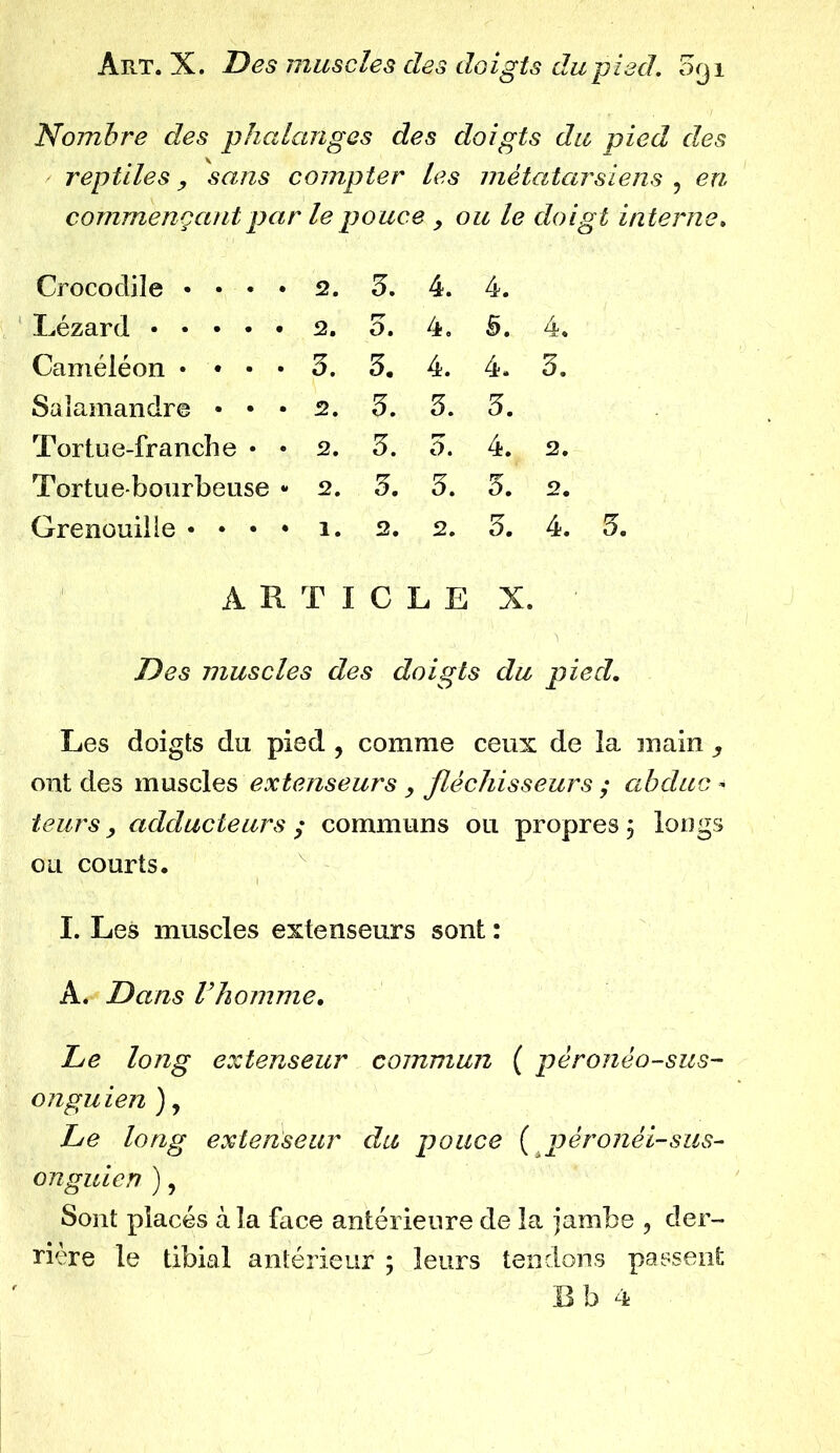 Nombre des phalanges des doigts du pied des reptiles, sans compter les métatarsiens , en commençant par le pouce y ou le doigt interne. Crocodile 2. 5. 4. 4. Lézard 2. o. 4. 5. 4. Caméléon • • • • 3. 3. 4. 4. 3. Salamandre • • • 2. 3. 3. 3. Tortue-franche • • 2. 3. 3. 4. 2. Tortue-bourbeuse * 2. 3. 3. 3. 2. Grenouille • • • • 1. 2. 2. 3. 4. ARTICLE X. Des muscles des doigts du pied. Les doigts du pied , comme ceux de ïa main ,, ont des muscles extenseurs fléchisseurs ; abduc - teurs, adducteurs ; communs ou propres j longs ou courts. I. Les muscles extenseurs sont : A. Dans l’homme. De long extenseur commun ( péronéo-sus- onguien ), De long extenseur du pouce ( péronéi-sus- onguien ), Sont placés à la face antérieure de la jambe , der- rière le tibial antérieur ; leurs tendons passent