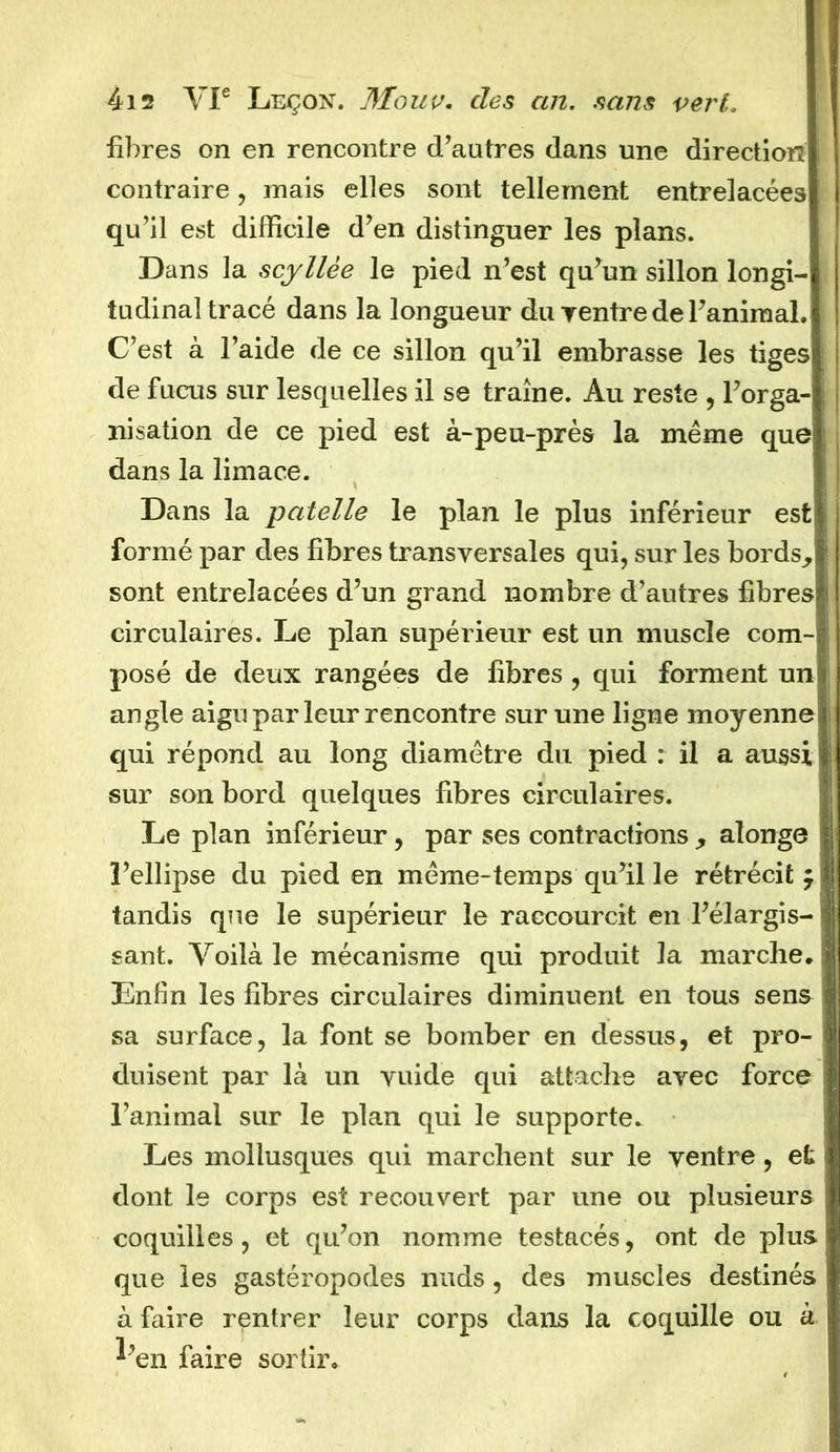 fibres on en rencontre d’autres dans une direction contraire, mais elles sont tellement entrelacées qu’il est difficile d’en distinguer les plans. Dans la scyllèe le pied n’est qu’un sillon longi- tudinal tracé dans la longueur du rentre de l’animal. C’est à l’aide de ce sillon qu’il embrasse les tiges de fucus sur lesquelles il se traîne. Au reste , l’orga- nisation de ce pied est à-peu-près la même que dans la limace. Dans la patelle le plan le plus inférieur est formé par des fibres transversales qui, sur les bords, sont entrelacées d’un grand nombre d’autres fibres circulaires. Le plan supérieur est un muscle com-i posé de deux rangées de fibres, qui forment un angle aigu par leur rencontre sur une ligne moyenne qui répond au long diamètre du pied : il a aussi i sur son bord quelques fibres circulaires. Le plan inférieur, par ses contractions , alonge l’ellipse du pied en même-temps qu’il le rétrécit f tandis que le supérieur le raccourcit en l’élargis- sant. Voilà le mécanisme qui produit la marche. Enfin les fibres circulaires diminuent en tous sens sa surface, la font se bomber en dessus, et pro- duisent par là un vuide qui attache avec force l’animal sur le plan qui le supporte. Les mollusques qui marchent sur le ventre , efc dont le corps est recouvert par une ou plusieurs coquilles, et qu’on nomme testacés, ont de plus que les gastéropodes nuds, des muscles destinés à faire rentrer leur corps dans la coquille ou à l’en faire sortir.