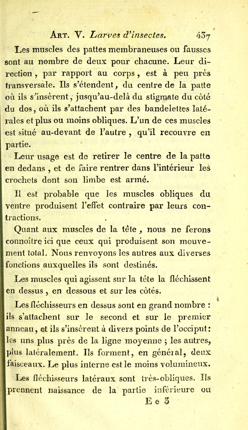 Les muscles des pattes membraneuses ou fausses sont au nombre de deux pour chacune. Leur di- rection , par rapport au corps , est à peu près transversale. Ils s’étendent, du centre de la patte 011 ils s'insèrent, jusqu’au-delà du stigmate du côté du dos, où ils s’attachent par des bandelettes laté- rales et plus ou moins obliques. L’un de ces muscles est situé au-devant de l’autre , qu’il recouvre eii partie. Leur usage est de retirer le centre de la patte en dedans , et de faire rentrer dans l’intérieur les crochets dont son limbe est armé. Il est probable que les muscles obliques du ventre produisent l’efTet contraire par leurs con- tractions. Quant aux muscles de la tête , nous ne ferons connoître ici que ceux qui produisent son mouve- ment total. Nous renvoyons les autres aux diverses fonctions auxquelles ils sont destinés. Les muscles qui agissent sur la tête la fléchissent en dessus, en dessous et sur les côtés. Les fléchisseurs en dessus sont en grand nombre : ils s’attachent sur le second et sur le premier anneau, et ils s’insèrent à divers points de l’occiput : les uns plus près de la ligne moyenne ; les autres, plus latéralement. Ils forment, en généial, deux faisceaux. Le plus interne est le moins volumineux. Les fléchisseurs latéraux sont très-obliques. Ils prennent naissance de la partie inférieure ou E e S