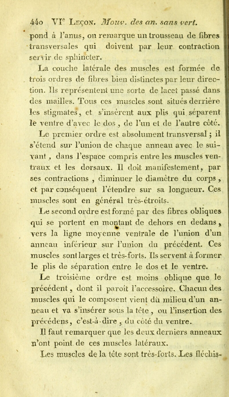 pond à l’anus, on remarque un trousseau de fibres transversales qui doivent par leur contraction servir de sphincter. La couche latérale des muscles est formée de trois ordres de libres bien distinctes par leur direc- tion. Ils représentent une sorte de lacet passé dans des mailles. Tous ces muscles sont situés derrière les stigmates, et s’insèrent aux plis qui séparent le ventre d’avec le dos , de l’un et de l’autre coté. Le premier ordre est absolument transversal ; il s’étend sur l’union de chaque anneau avec le sui- vant ,, dans l’espace compris entre les muscles ven- traux et les dorsaux. Il doit manifestement, par ses contractions , diminuer le diamètre du corps , et par conséquent l’étendre sur sa longueur. Ces muscles sont en général très-étroits. Le second ordre est formé par des fibres obliques qui se portent en montant de dehors en dedans % vers la ligne moyenne ventrale de l’union d’un anneau inférieur sur l’union du précédent. Ces muscles sont larges et très-forts. Ils servent à former le plis de séparation entre le dos et le ventre. Le troisième ordre est moins oblique que le précédent, dont il paroit l’accessoire. Chacun des muscles qui le composent vient dii milieu d’un an- neau et va s’insérer sous la tète , ou l’insertion des précéderas, c’est-à-dire , du côté du ventre. Il faut remarquer que les deux derniers anneaux n’ont point de ces muscles latéraux. Les muscles de la tète sont très-forts. Les lléchis-