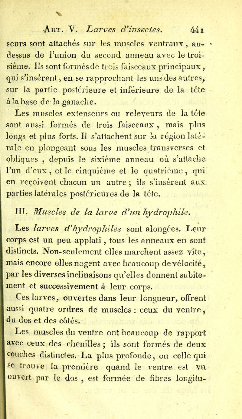 V Ae.t. Y. Larves d’insectes. 441 seurs sont attachés sur les nmscles ventraux, au- dessus de l’union du second anneau avec le troi- sième. Ils sont formés de trois faisceaux principaux, qui s’insèrent, en se rapprochant les uns des autres, sur la partie postérieure et inférieure de la tête àlabase de la ganache. Les muscles extenseurs ou releveurs de la tête sont aussi formés de trois faisceaux , mais plus longs et plus forts. Il s’attachent sur fci région laté- rale en plongeant sous les muscles transverses et obliques , depuis le sixième anneau où s’attache l’un d’eux, et le cinquième et le quatrième, qui en reçoivent chacun un autre ; ils s’insèrent aux parties latérales postérieures de la tête. III. Muscles de la larve d’un hydrophile. Les larves d’hydrophiles sont aiongées. Leur corps est un peu applati, tous les anneaux en sont distincts. Non-seulement elles marchent assez vite, mais encore elles nagent avec beaucoup de vélocité, par les diverses inclinaisons qu’elles donnent subite- ment et successivement à leur corps. Ces larves, ouvertes dans leur longueur, offrent aussi quatre ordres de muscles: ceux du ventre, du dos et des côtés. Les muscles du ventre ont beaucoup de rapport avec ceux des chenilles ; ils sont formés de deux couches distinctes. La plus profonde, ou celle qui se trouve la première quand le ventre est vu ouvert par le dos , est formée de fibres longitu-