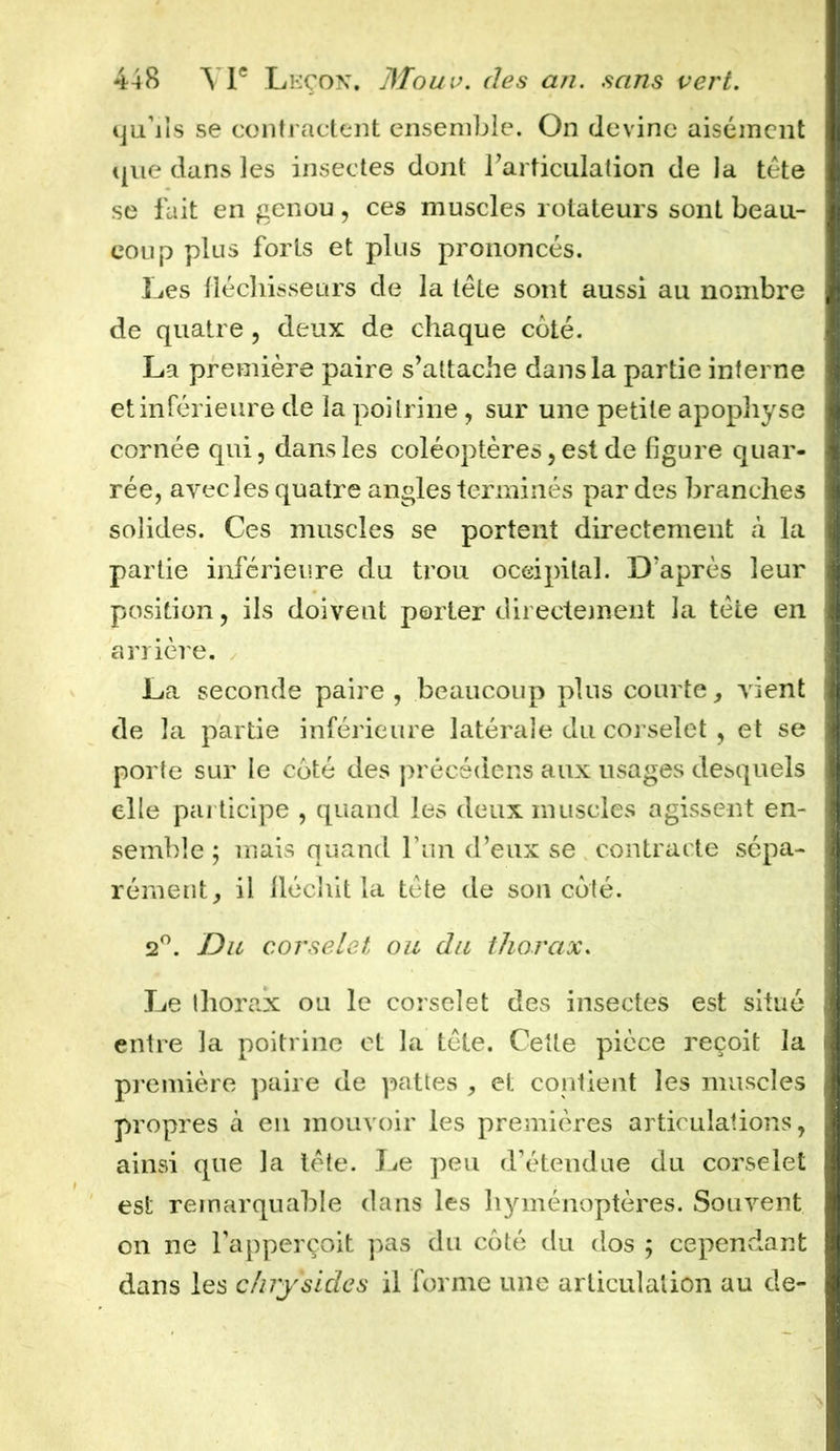 qu’ils se contractent ensemble. On devine aisément que dans les insectes dont l’articulation de la tête se fait en genou, ces muscles rotateurs sont beau- coup plus forts et plus prononcés. Les fléchisseurs de la tête sont aussi au nombre de quatre , deux de chaque coté. La première paire s’attache dans la partie interne et inférieure de la poitrine, sur une petite apophyse cornée qui, dans les coléoptères, est de figure quar- rée, avec les quatre angles terminés par des branches solides. Ces muscles se portent directement à la partie inférieure du trou occipital. D’après leur position, ils doivent porter directement la tête en arrière. La seconde paire , beaucoup plus courte, vient de la partie inférieure latérale du corselet , et se porte sur le coté des précédens aux usages desquels elle participe , quand les deux muscles agissent en- semble ; mais quand l’un d’eux se contracte sépa- rément, il fléchit la tête de son coté. 2°. Du corselet ou du thorax. Le thorax ou le corselet des insectes est situé entre la poitrine et la tête. Cette pièce reçoit la première paire de pattes , et contient les muscles propres à en mouvoir les premières articulations, ainsi que la tête. Le peu d’étendue du corselet est remarquable dans les hyménoptères. Souvent on ne l’apperçoit pas du coté du dos ; cependant dans les clnysides il forme une articulation au de-