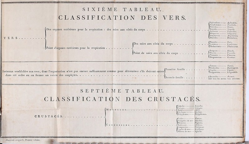 SIXIÈME TABLEAU.. CLASSIFICATION DES VERS. . .p;:';A.v H. m ISliër SEPTIÈME TABLEAU. CLASSIFICATION DES CRUSTACÉS. CRUSTACÉS.