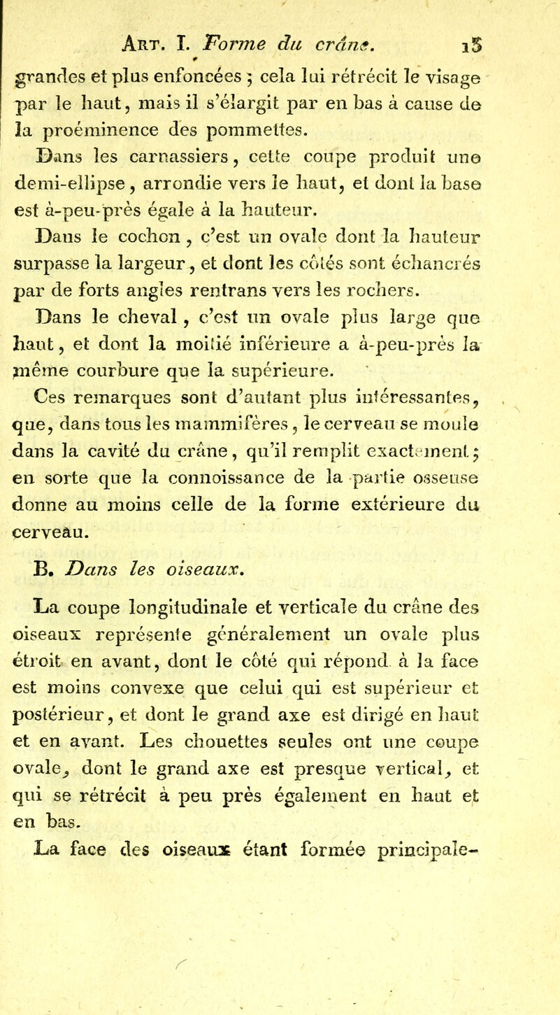 grandes et plus enfoncées ; cela lui rétrécit le visage par le haut, mais il s’élargit par en bas à cause de la proéminence des pommettes. Dans les carnassiers, cette coupe produit une demi-ellipse, arrondie vers ie haut, et dont la base est à-peu-près égale à la hauteur. Dans le cochon , c’est un ovale dont la hauteur surpasse la largeur, et dont les côtés sont écliancrés par de forts angles rentrans vers les rochers. Dans le cheval, c’est un ovale plus large que haut, et dont la moitié inférieure a à-peu-prés la même courbure que la supérieure. Ces remarques sont d’autant plus intéressantes, que, dans tous les mammifères, le cerveau se moule dans la cavité du crâne, qu’il remplit exactv inent; en sorte que la connoissance de la partie osseuse donne au moins celle de la forme extérieure du cerveau. B. Dans les oiseaux, La coupe longitudinale et verticale du crâne des oiseaux représente généralement un ovale plus étroit en avant, dont le côté qui répond à la face est moins convexe que celui qui est supérieur et postérieur, et dont le grand axe est dirigé en haut et en avant. Les chouettes seules ont une coupe ovale^ dont le grand axe est presque vertical et qui se rétrécît à peu près également en haut et en bas. La face des oiseaux étant formée principale-