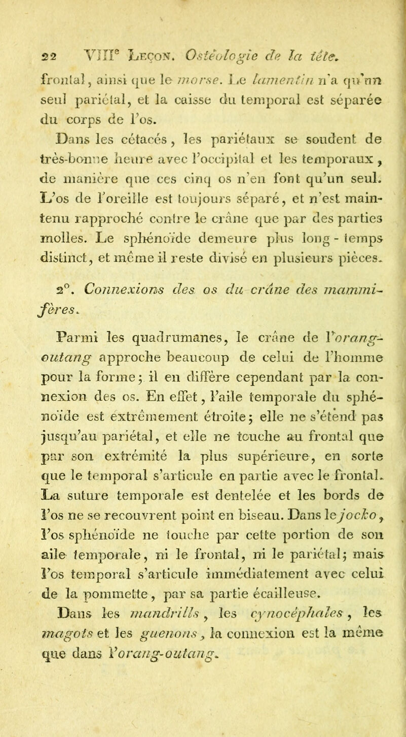 fronlaî, ainsi que le morse. Le tamentin ri*a qu'nn seul pariétal, et la caisse du temporal est séparée j du corps de l’os. Dans les cétacés, les pariétaux se soudent de très-bonne heure avec l’occipital et les temporaux, de nianière que ces cinq os n’en font qu’un seul. L’os de foreille est toujours séparé, et n’est main- tenu rapproché contre le crâne que par des parties molles. Le sphénoïde demeure plus long - temps distinct, et meme il reste divisé en plusieurs pièces. 2®. Connexions des os du crâne des mammi-^ fer es. Parmi les quadrumanes, le crâne de Vorang- outang approche beaucoup de celui de l’homme pour la forme; il en diffère cependant par la con- nexion des os. En effet, Faile temporale du sphé- noïde est extrêmement étroite; elle ne s’étend pas | jusqu’au pariétal, et elle ne touche au frontal que par son extrémité la plus supérieure, en sorte que le temporal s’articule en partie avec le frontal. La suture temporale est dentelée et les bords de ^ î’os ne se recouvrent point en biseau. Dans le jocho, î’os sphénoïde ne louche par cette portion de son « aile temporale, ni le frontal, ni le pariétal; mais l’os temporal s’articule immédiatement avec celui de la pommette, par sa partie écailleuse. Dans les mandrills, les cynocéphales, les magots et les guenons ^ la connexion est la meme que dans Vorang-outang^