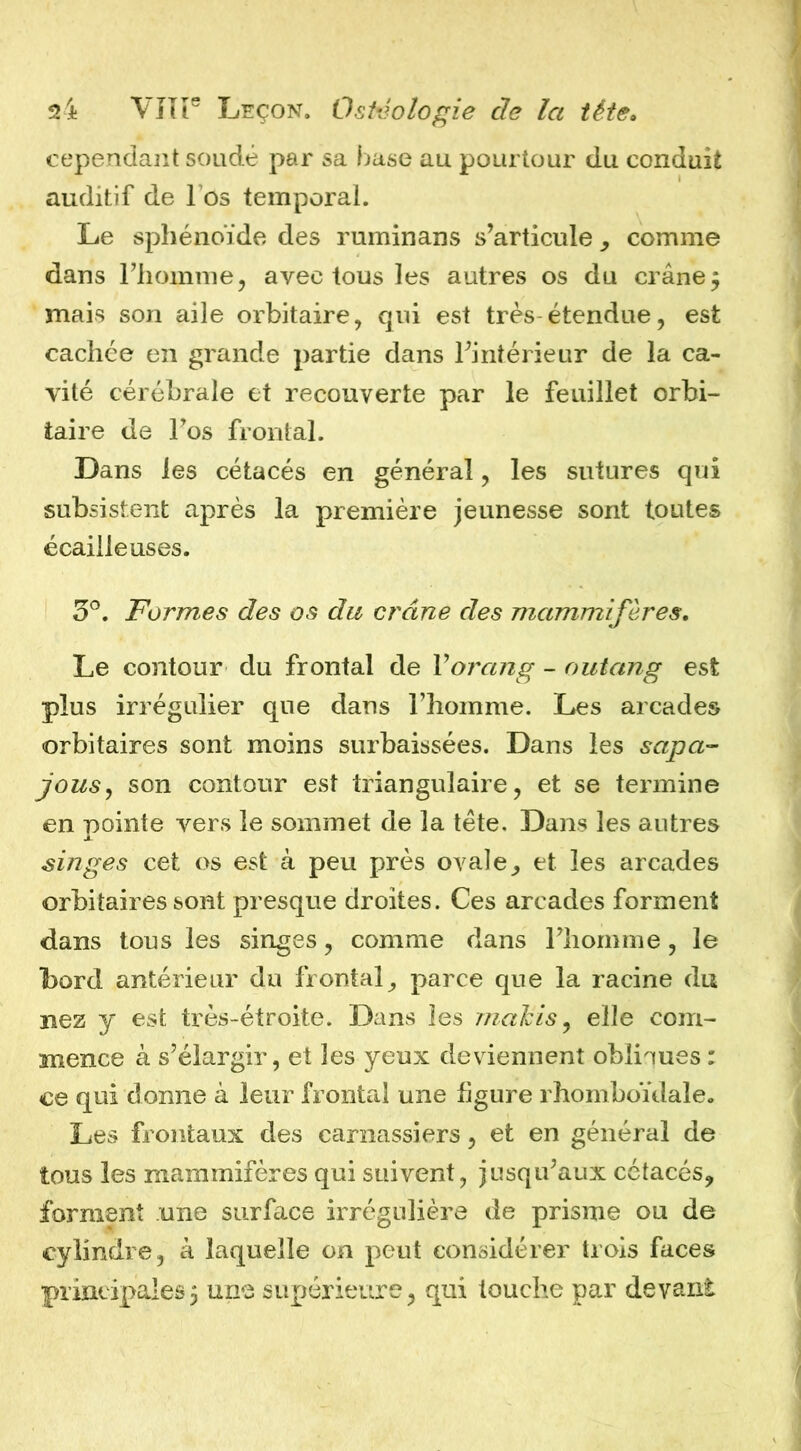 cependant soudé par sa base au pourtour du conduit auditif de l’os temporal. Le sphénoïde des ruminans s’articule , comme dans l’homme, avec tous les autres os du crâne5 mais son aile orbitaire, qui est très étendue, est cachée en grande partie dans l’intérieur de la ca- vité cérébrale et recouverte par le feuillet orbi- taire de l’os frontal. Dans les cétacés en général, les sutures qui subsistent après la première jeunesse sont toutes écailleuses. 5®. Formes des os du crâne des mammifères. Le contour du frontal de Vorang - outang est plus irrégulier que dans l’homme. Les arcades orbitaires sont moins surbaissées. Dans les sapa- jous^ son contour est triangulaire, et se termine en pointe vers le sommet de la tête. Dans les autres singes cet os est à peu près ovale_, et les arcades orbitaires sont presque droites. Ces arcades forment dans tous les singes, comme dans l’homme, le bord antérieur du frontal parce que la racine du nez y est très-étroite. Dans les r?ia]ds ^ elle com- mence à s’élargir, et les yeux deviennent obliques : ce qui donne à leur frontal une figure rhomboulale. Les frontaux des carnassiers, et en général de tous les mammifères qui suivent, jusqu’aux cétacés, forment une surface irrégulière de prisme ou de cylindre, à laquelle on peut considérer trois faces principales3 une supérieure, qui touche par devant