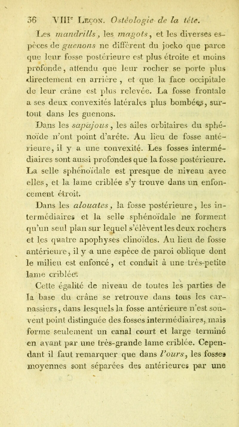 Les mandrills y les magots ^ et les diverses es- pèces de guenons ne different du jocko que parce que leur fosse postérieure est plus étroite et moins profonde, attendu que leur rocher se porte plus <^lirecteinent en arrière , et que la face occipitale de leur crâne est plus relevée. La fosse frontale a ses deux convexités latérales plus bombée^, sur- tout dans les guenons. Dans les sapajous, les ailes orbitaires du sphé- noïde liront point d’aréte. Au lieu de fosse anté- l'ieure, il y a une convexité. Les fosses intermé- diaires sont aussi profondes que la fosse postérieure. La selle sphénoïdale est presque de niveau avec elles, et la lame criblée s’y trouve dans un enfon- cement étroit. Dans les alouatesy la fosse postérieure, les in- termédiaires et la selle sphénoïdale ne forment qu’un seul plan sur lequel s’élèvent les deux rochers et les quatre apophj^ses clinoïdes. Au lieu de fosse antérieure, il y a une espèce de paroi oblique dont le milieu est enfoncé, et conduit à une très-petite lame criblée*. Cette égalité de niveau de toutes les parties de la base du crâne se retrouve dans tous les car- nassiers , dans lesquels la fosse antérieure n’est sou- vent point distinguée des fosses intermédiaires, mais forme seulement un canal court et large terminé en avant par une très-grande lame criblée. Cepen- dant il faut remarquer que dans Vours^ les fosses moyennes sont séparées des antérieures par une