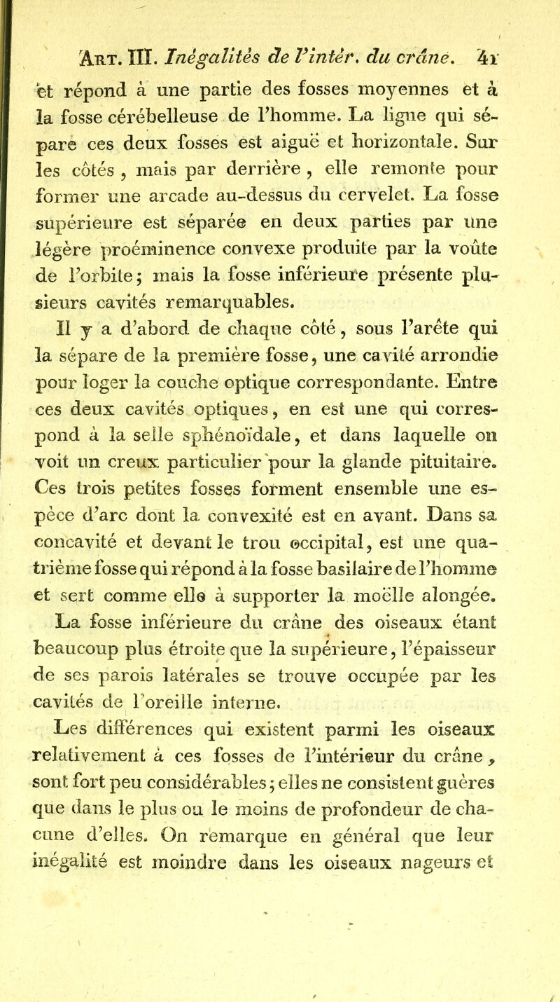 et répond à une partie des fosses moyennes et à la fosse cérébelleuse de Thomme. La ligne qui sé- pare ces deux fosses est aiguë et horizontale. Sur les côtés , mais par derrière , elle remonte pour former une arcade au-dessus du cervelet. La fosse supérieure est séparée en deux parties par une légère proéminence convexe produite par la voûte de Torbite ; mais la fosse inférieure présente plu- sieurs cavités remarquables. Il y a d’abord de chaque côté, sous Faréte qui la sépare de la première fosse, une cavité arrondie pour loger la couche optique correspondante. Entre ces deux cavités optiques, en est une qui corres- pond à la selle sphénoïdale, et dans laquelle on voit un creux particulier pour la glande pituitaire. Ces trois petites fosses forment ensemble une es- pèce d’arc dont la convexité est en avant. Dans sa concavité et devant le trou occipital, est une qua- trième fosse qui répond à la fosse basilaire de l’homme et sert comme elle à supporter la moelle alongée. La fosse inférieure du crâne des oiseaux étant beaucoup plus étroite que la supérieure, l’épaisseur de ses parois latérales se trouve occupée par les cavités de Foreille interne. Les diiférences qui existent parmi les oiseaux relativement à ces fosses de l’intérieur du crâne , sont fort peu considérables ; elles ne consistent guères que dans le plus ou le moins de profondeur de cha- cune d’elles. On remarque en général que leur inégalité est moindre dans les oiseaux nageurs et