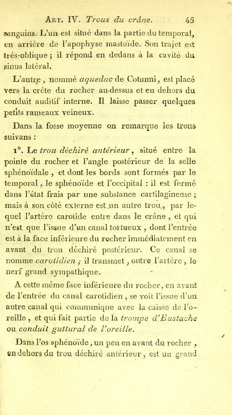 sanguins. L\m est situé dans la partie du temporal^ en arrière de Tapophyse mastoïde. Son trajet est très-oblique ; il répond en dedans à la cayité du sinus latéral. L^autre , iionnné aqueduc de Cotunni, est placé vers la crête du rocher au-dessus et en dehors du conduit auditif interne. Il laisse passer quelques petits rameaux veineux. Dans la fosse moyenne on remarque les trous suivans ; 1°, Le trou déchiré antérieur, situé entre la pointe du rocher et Fangle postérieur de la selle sphénoïdale , et dont les bords sont formés par le temporal, le sphénoïde et Foccipital : il est fermé dans Fétat frais par une substance cartilagineuse ; mais à son côté externe estam autre trou, par le- quel Fart ère carotide entre dans le crâne , et qui n^est que Fissue d\m canal tortueux , dont Fentrée est à la face inférieure du rocher immédiatement en avant du trou déchiré postérieur. Ce canal se nomme carotidien ; il transmet ^ outre Fartere , le nerf grand sympathique. A cette même face inférieure du rocher, en avant de Fentrée du canal carotidien , se voit Fissue d’un autre canal qui communique avec la caisse de Fo- reille , et qui fait partie de la trompe d’Eustacke ou conduit guttural de Voreille. Dans Fos sphénoïde, un peu en avant du rocher , en dehors du trou déchiré antérieur, est un grand