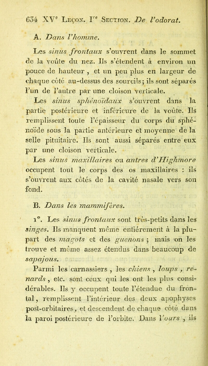 A. Dans Vhomme. Les sinus frontaux s^ouvrent dans le sommet de la voûte du nez. Ils s’étendent à environ un pouce de hauteur , et un peu plus en largeur de chaque coté au-dessus des sourcils; ils sont séparés Fun de l’autre par une cloison verticale. Les sinus sphénoïdaux s’ouvrent dans la partie postérieure et inférieure de la voûte. Ils remplissent toute l’épaisseur du corps du sphé- noïde sous la partie antérieure et moyenne de la selle pituitaire. Ils sont aussi séparés entre eux par une cloison verticale. Les sinus maxillaires ou antres d^Highinore occupent tout le corps des os maxillaires : ils s’ouvrent aux côtés de la cavité nasale vers son fond. B. Dans les mammifères. 1®. Les sinus frontaux sont très-petits dans les singes. Ils manquent meme entièrement à la plu- part des magots et des guenons ; mais on les trouve et meme assez étendus dans beaucoup de sapajous. Parmi les carnassiers ^ les chiens , loups re- nards , etc. sont ceux qui les ont les plus consi- dérables. Ils y occupent toute l’étendue du fron- tal , remplissent rintérieur des deux apophyses post-orbitaires J, et descendent de chaque côté dans la paroi postérieure de l’orbite. Dans Vours , ils