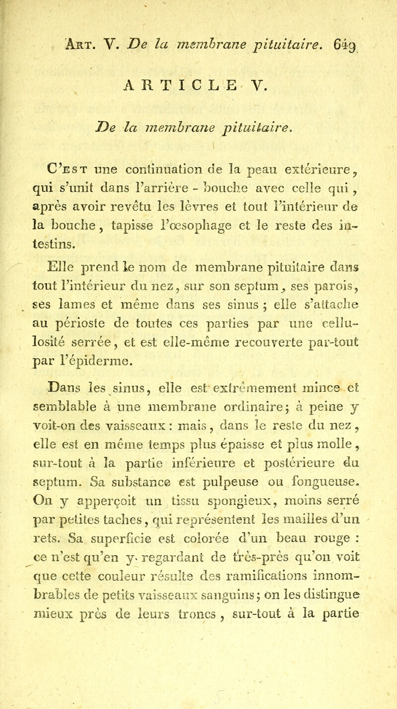 A R T I C L E V. De la membrane pituitaire. C’est une continuation de la peau extérieure qui s’unit dans l’arrière - bouche avec celle qui, après avoir revêtu les lèvres et tout i’iiitérieur de la bouche, tapisse i’oesopliage et le reste des in- testins. Elle prend le nom de membrane pituitaire dans tout l’intérieur du nez, sur son septum ^ ses parois, ses lames et même dans ses sinus ; elle s’attache au périoste de toutes ces parties par une cellu- losité serrée, et est elle-même recouverte par-tout par l’épiderme. Dans les sinus, elle est extrêmement mince et semblable à une membrane ordinaire; à peine y voit-on des vaisseaux : mais, dans le reste du nez, elle est en même temps plus épaisse et plus molle, sur-tout à la partie inférieure et postérieure du septum. Sa substance est pulpeuse ou fongueuse. On y apperçoit un tissu spongieux, moins serré par petites taches, qui représentent les mailles d’un rets. Sa superficie est colorée d’un beau rouge : ce n’est qu’en y« regardant de très-près qu’on voit que cette couleur résulte des raraihcations innom- brables de petits vaisseaux sanguins ; ôn les distingue mieux près de leurs troncs , sur-tout à la partie