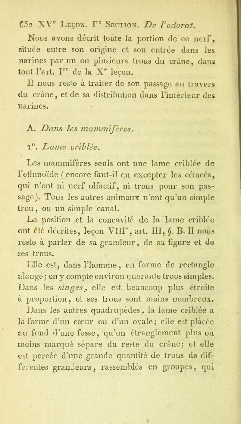 Nous avons décrit toute la portion de ce nerf, située entre son origine et son entrée dans les narines par un ou plusieurs trous du crâne, dans tout fart. F' de la leçon. Il nous reste à traiter de son passage au travers du crâne, et de sa distribution dans Fintérieur des narines. A. Dans les mammifères, 1®. Lame criblée. Les mammifères seuls ont une lame criblée de Fetlimoïde (encore faut-il en excepter les cétacés, qui n’ont ni nerf olfactif, ni trous pour son pas- sage). Tous les autres animaux n’ont qu’un simple trou, ou un simple canal. La position et la concavité de la lame criblée ont été décrites, leçon VIIF, art. III, ÿ. B. Il nous reste à parler de sa grandeur, de sa figure et de ses trous. Elle est, dans Fliomme, en forme de rectangle alcngé ; on y compte environ quarante trous simples. Dans les singes y elle est beaucoup plus étroite à proportion, et ses trous sont moins nombreux. Dans les autres quadrupèdes, la lame criblée a ^ la forme d’un cœur ou d’un ovale 5 elle est placée au fond d’une fosse, qu’un étranglement plus où moins marqué sépare du reste du crâne; et elle est percée d’une grande quantité de trous de dif- férentes grandeurs, rassemblés en groupes, qui 4