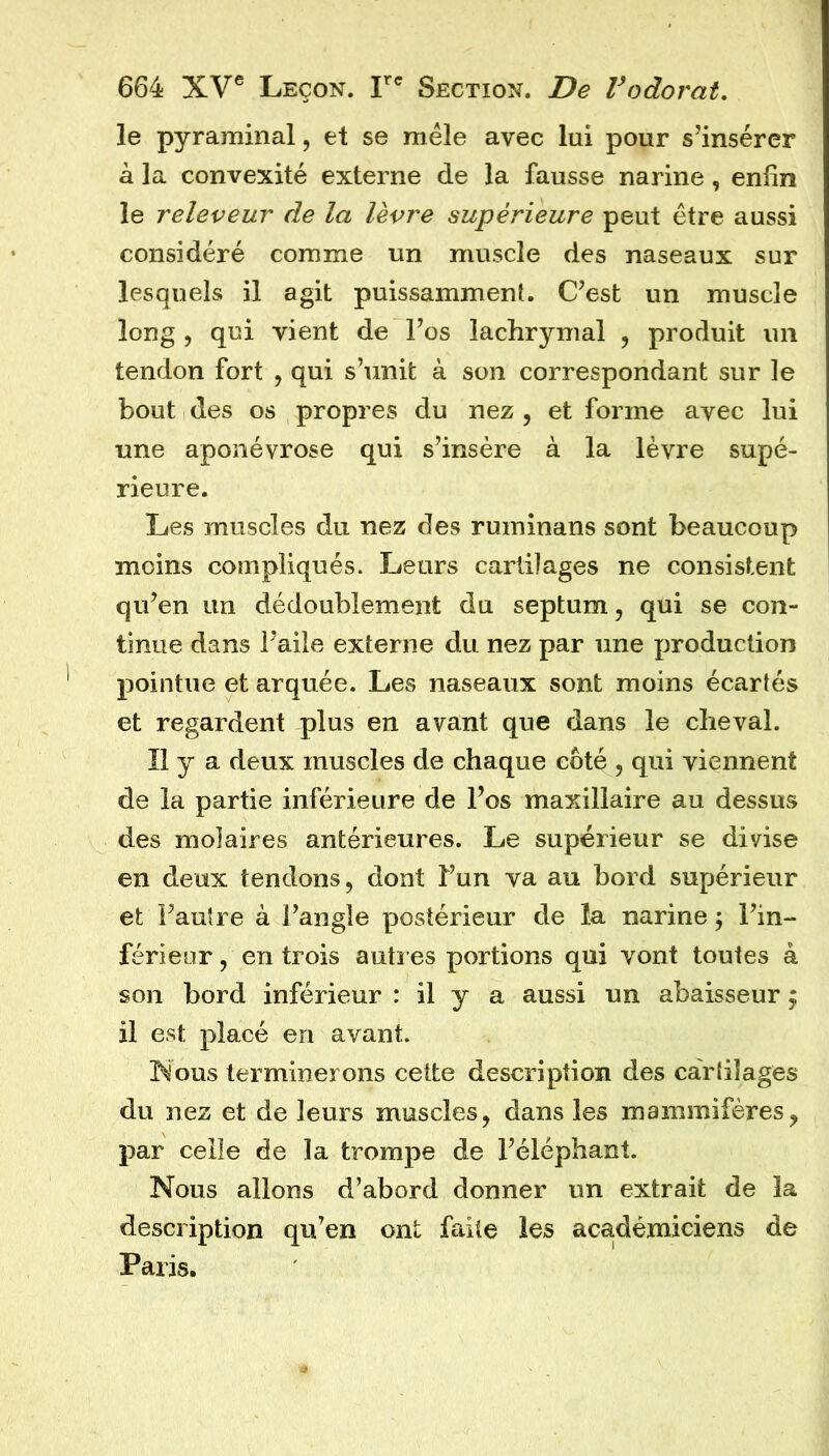 le pyraminal, et se mêle avec lui pour s’insérer à la convexité externe de la fausse narine, enfin le releveur de la lèvre supérieure peut être aussi considéré comme un muscle des naseaux sur lesquels il agit puissamment. C’est un muscle long , qui vient de Fos lachrymal , produit un tendon fort , qui s’unit à son correspondant sur le bout des os propres du nez , et forme avec lui une aponévrose qui s’insère à la lèvre supé- rieure. Les muscles du nez des ruminans sont beaucoup moins compliqués. Leurs cartilages ne consistent qu’en un dédoublement du septum, qui se con- tinue dans l’aile externe du nez par une production pointue et arquée. Les naseaux sont moins écartés et regardent plus en avant que dans le cheval. Il y a deux muscles de chaque côté , qui viennent de la partie inférieure de Fos maxillaire au dessus des molaires antérieures. Le supérieur se divise en deux tendons, dont Fun va au bord supérieur et l’autre à l’angle postérieur de la narine; Fin- férieor, en trois autres portions qui vont toutes à son bord inférieur : il y a aussi un abaisseur ; il est placé en avant. Nous terminerons cette description des cartilages du nez et de leurs muscles, dans les mammifères, par celle de la trompe de l’éléphant. Nous allons d’abord donner un extrait de la description qu’en ont faite les académiciens de Paris.