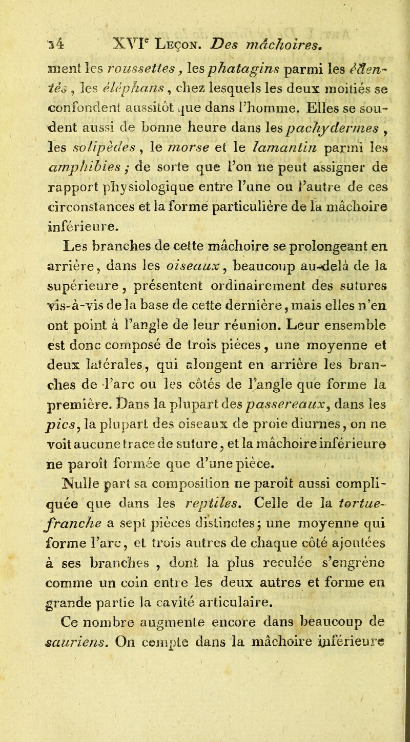 îïîentles roussettes, les phatagins parmi les èâen’' tês , les èlèphans, chez lesquels les deux moitiés se confondent aussitôt que dans l’homme. Elles se sou- dent aussi de bonne heure dans les pachydermes , les solipèdes , le morse et le lamantin parmi les amphibies ; de sorte que l’on ne peut assigner de rapport physiologique entre l’une ou l’autre de ces circonstances et la forme particulière de la mâchoire inférieure. Les branches de cette mâchoire se prolongeant en arrière, dans les oiseaux ^ beaucoup au-delà de la supérieure, présentent ordinairement des sutures vis-à-vis de la base de cette dernière, mais elles n’en ont point à l’angle de leur réunion. Leur ensemble est donc composé de trois pièces, une moyenne et deux latérales, qui aîongent en arrière les bran- ches de d’arc ou les côtés de l’angle que forme la première. Dans la plupart des passereaux^ dans les pics, la plupart des oiseaux de proie diurnes, on ne voit aucune trace de suture, et la mâchoire inférieure ne paroît formée que d’une pièce. Nulle part sa composition ne paroît aussi compli- quée que dans les reptiles. Celle de la tortue- franche a sept pièces distinctes j une moyenne qui forme l’arc, et trois autres de chaque côté ajoutées à ses branches , dont la plus reculée s’engrène comme un coin entre les deux autres et forme en grande partie la cavité articulaire. Ce nombre augmente encore dans beaucoup de sauriens. On compte dans la mâchoire ijiférieure