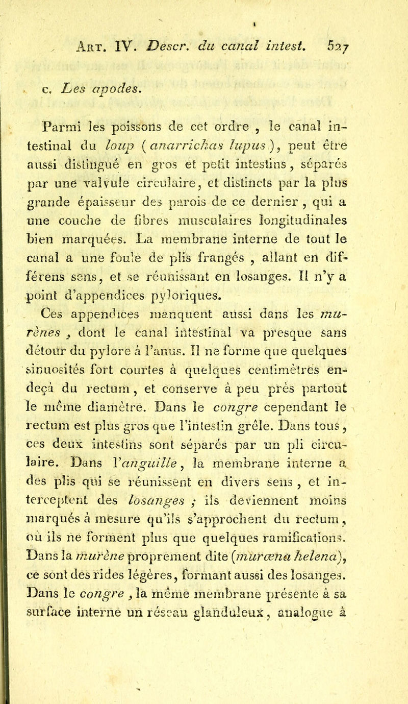 c, IjCs apodes. Parmi les poissons de cet ordre , le canal in- testinal du loup [anarrickas lupus peut être aussi distingué en gros et petit intestins , séparés par une valvule circulaire, et distincts par la pins grande épaisseur des parois de ce dernier , qui a une couche de fibres musculaires longitudinales bien marquées. La membrane interne de tout le canal a une foule de plis frangés , allant en dif- férens sens, et se réunissant en losanges. Il n’y a point d’appendices pyloriques. Ces appendices manquent aussi dans les mu- rènes dont le canal intestinal va presque sans détour du pylore à l’anus. îî ne forme que quelques sinuosités fort courtes à quelques centimètres en- deçà du rectum, et conserve à peu près partout le meme diamètre. Dans le congre cependant le rectum est plus gros que l’intestin grêle. Dans tous, ces deux intestins sont séparés par un pli circu- laire. Dans Y anguille, la membrane interne a des plis qiii se réunissent en divers sens , et in- terceptent des losanges ; ils deviennent moins marqués à mesure qu’ils s’approchent du rectum , où iis ne forment plus que quelques ramifications. Dans la murène proprement dite [murœna helena)^ ce sont des rides légères, formant aussi des losanges. Dans le congre la même membrane présente à sa surface interne un réseau glanduleux , analogue à