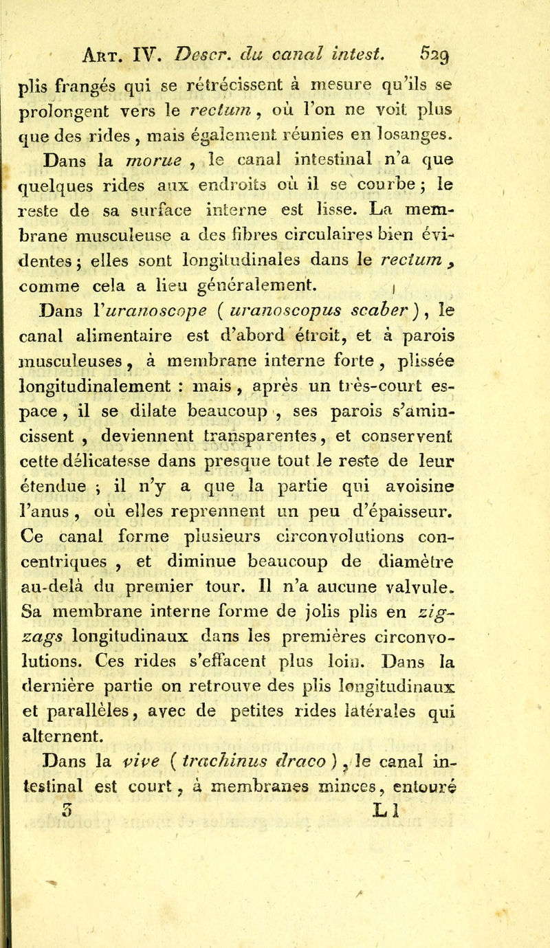 plis frangés qui se rétrécissent à mesure qu’ils se prolongent vers le rectum , où l’on ne voit plus que des rides , mais également réunies en losanges. Dans la morue , le canal intestinal n’a que quelques rides aux endroits où il se courbe ; le reste de sa surface interne est lisse. La mem- brane musculeuse a des fibres circulaires bien évi- dentes ; elles sont longitudinales dans le rectum , comme cela a lieu généralement. I Dans Vuranoscope { uranoscopus scaher ) , le canal alimentaire est d’abord étroit, et à parois 3uusculeuses, à membrane interne forte , plissée longitudinalement : mais , après un très-court es- pace , il se dilate beaucoup , ses parois s’amin- cissent , deviennent transparentes, et conservent cette délicatesse dans presque tout le reste de leur étendue ; il n’y a que la partie qui avoisine l’anus , où elles reprennent un peu d’épaisseur. Ce canal forme plusieurs circonvolutions con- centriques , et diminue beaucoup de diamètre au-delà du premier tour. Il n’a aucune valvule. Sa membrane interne forme de jolis plis en zags longitudinaux dans les premières circonvo- lutions. Ces rides s’effacent plus loin. Dans la dernière partie on retrouve des plis longitudinaux et parallèles, avec de petites rides latérales qui alternent. Dans la vive {trachinus draco) ^ canal in- testinal est court, à membranes minces, entouré L1