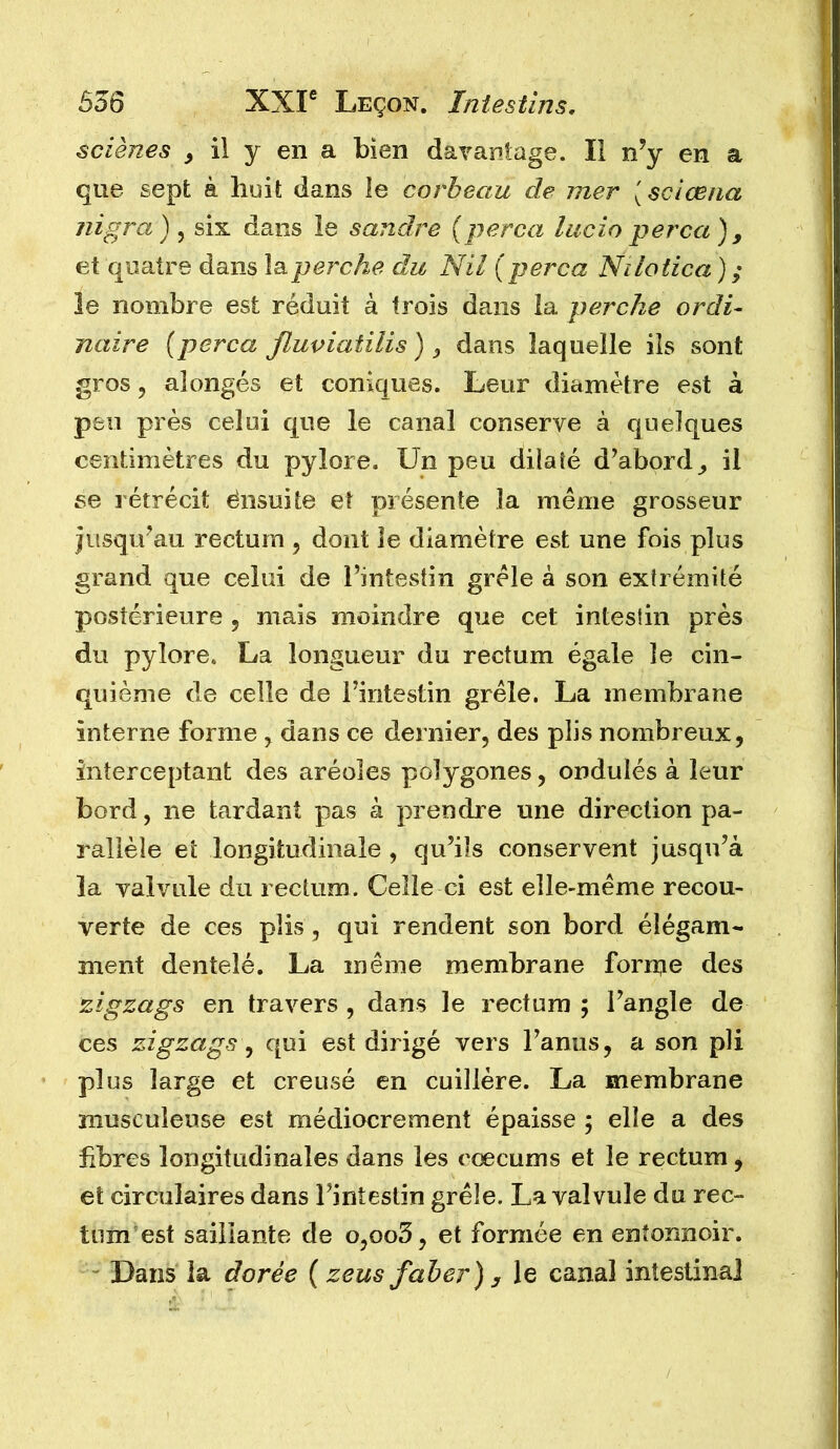 sciènes ^ il y en a bien davantage. Il n’y en a que sept à huit dans le corbeau de mer [ sciæiia nigra ) , six dans le sandre {perça lucio perça), et quatre dans la perche du Nil {perça Nilotica ) ; le nombre est réduit à trois dans la perche ordi- naire {perça Jlupiatilis) , dans laquelle iis sont gros 5 aîongés et coniques. Leur diamètre est à peu près celui que le canal conserve à quelques centimètres du pylore. Un peu dilaté d’abord^ il se rétrécit énsuite et présente la même grosseur jusqu’au rectum , dont le diamètre est une fois plus grand que celui de l’intestin grêle à son extrémité postérieure , mais moindre que cet intestin près du pylore. La longueur du rectum égale le cin- quième de celle de l’intestin grêle. La membrane interne forme y dans ce dernier, des plis nombreux, interceptant des aréoles polygones, ondulés à leur bord, ne tardant pas à prendre une direction pa- rallèle et longitudinale , qu’ils conservent jusqu’à la valvule du rectum. Celle ci est elle-même recou- verte de ces plis, qui rendent son bord élégam- ment dentelé. La même membrane forn;ie des zigzags en travers , dans le rectum ; l’angle de ces zigzags y qui est dirigé vers l’anus, a son pli plus large et creusé en cuillère. La membrane musculeuse est médiocrement épaisse ; elle a des fibres longitudinales dans les cæcums et le rectum, et circulaires dans l’intestin grêle. La valvule du rec- tum est saillante de o,oo5, et formée en entonnoir. ^ Dans la dorée ( zeus faher) , le canal intestinal