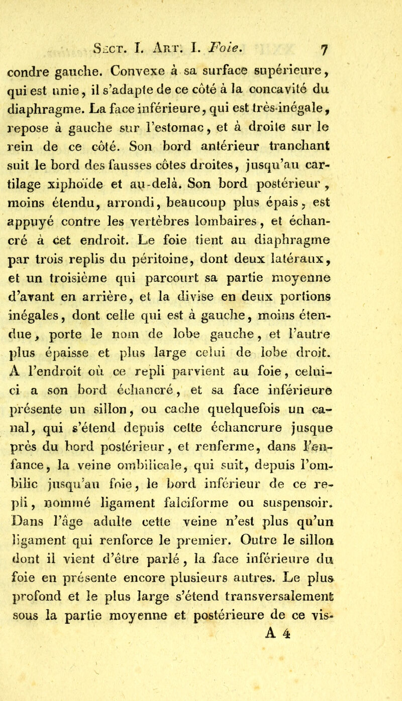 condre gauche. Convexe à sa surface supérieure, qui est unie, il s'adapte de ce côté à la concavité du diaphragme. La face inférieure, qui est très-inégale, repose à gauche sur l’estomac, et à droite sur le rein de ce côté. Son bord antérieur tranchant suit le bord des fausses côtes droites, jusqu’au car- tilage xiphoïde et au-delà. Son bord postérieur , moins étendu, arrondi, beaucoup plus épais, est appuyé contre les vertèbres lombaires, et échan- cré à cet endroit. Le foie tient au diaphragme par trois replis du péritoine, dont deux latéraux, et un troisième qui parcourt sa partie moyenne d’avant en arrière, et la divise en deux portions inégales, dont celle qui est à gauche, moins éten- due , porte le nom de lobe gauche, et l’autre plus épaisse et plus large celui de lobe droit. A l’endroit où ce repli parvient au foie , celui- ci a son bord éohancré, et sa face inférieure présente un sillon, ou cache quelquefois un ca- nal, qui s’étend depuis cette échancrure jusque près du bord postérieur, et renferme, dans l’en- fance, la veine ombilicale, qui suit, depuis l’om- bilic jusqu’au foie, le bord inférieur de ce re- pli , nommé ligament faiciforme ou suspensoir. Dans l’âge adulte cette veine n’est plus qu’un ligament qui renforce le premier. Outre le sillon dont il vient d’être parlé , la face inférieure du foie en présente encore plusieurs autres. Le plus profond et le plus large s’étend transversalement sous la partie moyenne et postérieure de ce vis- A 4