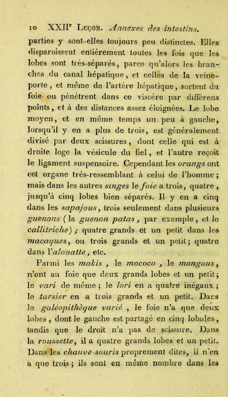 parties y sônt-elles toujours peu distinctes. Elles disparoissent entièrement toutes les fois que les lobes sont très-séparés, parce qu’alors les bran- ches du canal hépatique, et celles de la veine- porte , et même de l’artère hépatique, sortent du foie- ou pénètrent dans ce viscère par différens points, et à des distances assez éloignées. Le lobe moyen, et en même temps un, peu à gauche, lorsqu’il y en a plus de trois, est généralement divisé par deux scissures, dont celle qui est à droite loge la vésicule du fiel, et l’autre reçoit le ligament suspensoire. Cependant les orangs ont cet organe très-ressemblant à celui de l’homme ; mais dans les autres singes le foie a trois, quatre , jusqu’à cinq lobes bien séparés. Il y en a cinq dans les sapajous, trois seulement dans plusieurs guenons ( la guenon patas , par exemple , et le callitriche) ,• quatre grands et un petit dans les macaques, ou trois grands et un petit; quatre dans Valouatie, etc. Parmi les makis , le mococo , le mongous, n’ont an foie que deux grands lobes et un petit; le vari de même ; le lori en a quatre inégaux ; le tarsier en a trois grands et un petit. Dans le galéopithèque varié , le foie n’a que deux lobes , dont le gauche est partagé en cinq lobules , tandis que le droit n’a pas de scissure. Dans la roussette, il a quatre grands lobes et un petit. Dans les chauve souris proprement dites, il n’en k que trois ; ils sont en même nombre dans les