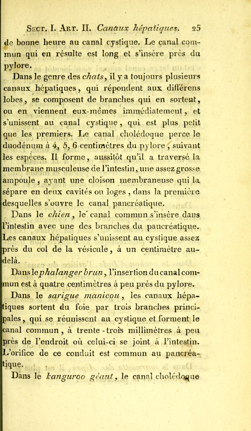 de bonne heure au canal cystique. Le canal com- mun qui en résulte est long et s’insère près du pylore. Dans le genre des chats, il y a toujours plusieurs canaux hépatiques, qui répondent aux dilîerens lobes , se composent de branches qui en sortent, ou en viennent eux-mêmes immédiatement, et s’unissent au canal cystique, qui est plus petit que les premiers. Le canal cholédoque perce le duodénum à 4, 5, 6 centimètres du pylore , suivant les espèces. Il forme, aussitôt qu’il a traversé la membrane musculeuse de l’intestin, une assez grosse ampoule , ayant une cloison membraneuse qui la. sépare en deux cavités ou loges , dans la première desquelles s’ouvre le canal pancréatique. Dans le chien, le* canal commun s’insère dans l’intestin avec une des branches du pancréatique. Les canaux hépatiques s’unissent au cystique assez près du col de la vésicule, à un centimètre au- delà. Dans lephalanger brun , l’insertion du canal com- mun est à quatre centimètres à peu près du pylore. Dans le sarigue manicou, les canaux hépa- tiques sortent du foie par trois branches princi- pales , qui se réunissent au cystique et forment le canal commun, à trente-trois millimètres à peu près de l’endroit où celui-ci se joint à l’intestin. L’orifice de ce conduit est commun au pancréa- tique. Dans le hanguroo géant, Je canal cholédoque