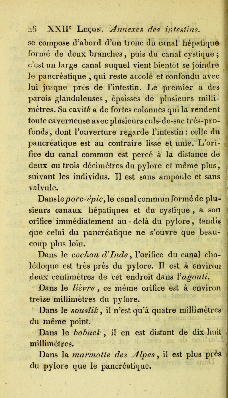 se compose d’abord d’un tronc du canal hépatique formé de deux branches, puis du canal cystique ; c'est un large canal auquel vient bientôt se joindre | le pancréatique , qui reste accolé et confondu avec lui jusque près de l’intestin. Le premier a des parois glanduleuses, épaisses de plusieurs milli- : mètres. Sa cavité a de fortes colonnes qui la rendent toute caverneuse avec plusieurs culs-de-sac très-pro- j fonds, dont l’ouverture regarde l’intestin : celle du r ° pancréatique est au contraire lisse et unie. L/ori- fice du canal commun est percé à la distance de deux ou trois décimètres du pylore et même plus, suivant les individus. Il est sans ampoule et sans valvule. Dansle porc-épic,\e canal commun formé de plu- sieurs canaux hépatiques et du cystique , a son orilice immédiatement au - delà du pylore , tandis que celui du pancréatique ne s’ouvre que beau- i coup plus loin. Dans le cochon d'Inde, l’orifice du canal cho- lédoque est très près du pylore. Il est à environ deux centimètres de cet endroit dans Xagouti. Dans le lièvre, ce même orifice est à environ treize millimètres du pylore. Dans le souslik, il n’est qu’à quatre millimètres du même point. Dans le hohack, il en est (listant de dix-huit millimètres. Dans la marmotte des Alpes, il est plus près du pylore que le pancréatique.