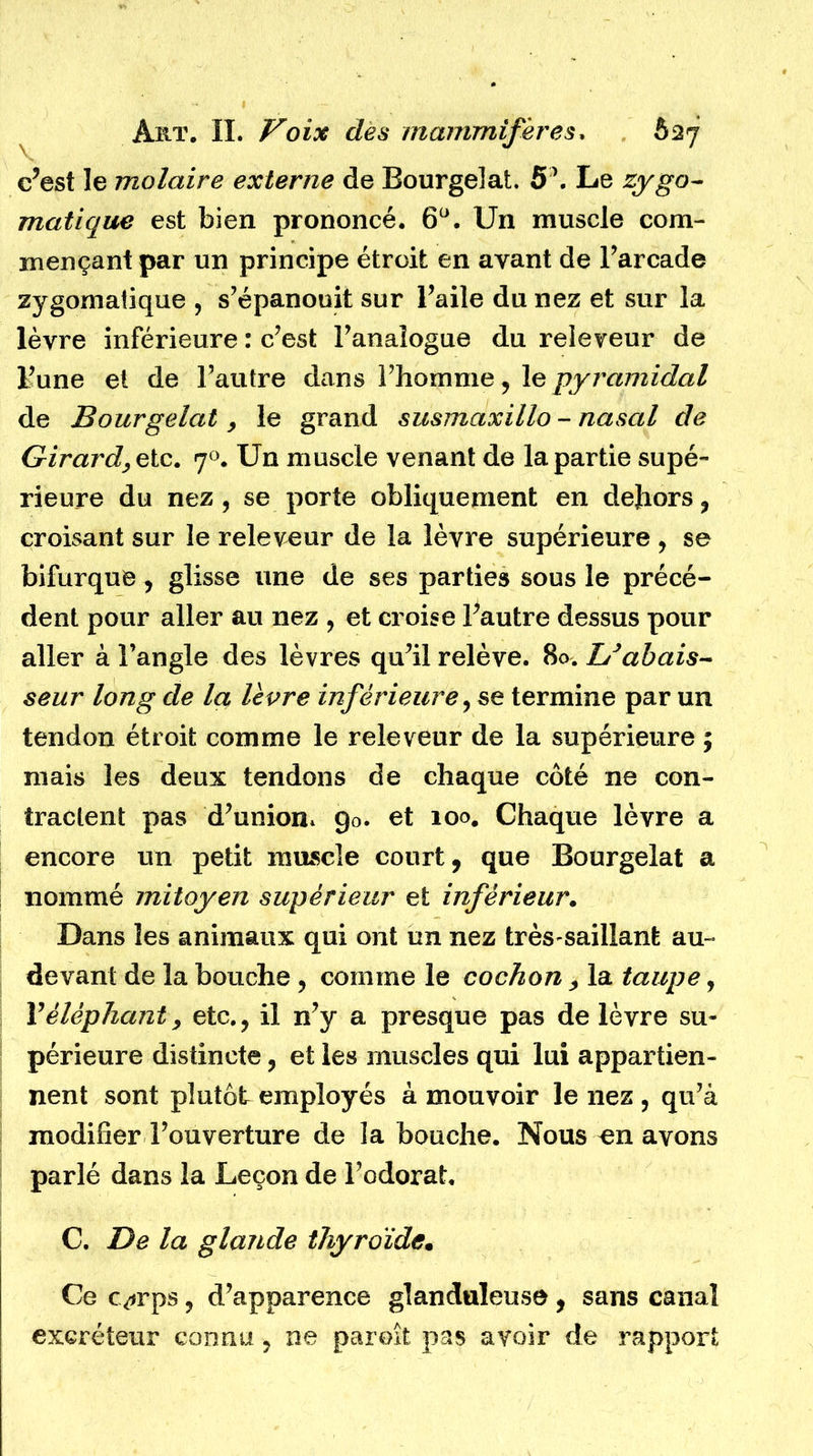 c’est le molaire externe de Bourgelat. 5\ Le zygo- matique est bien prononcé. 6°. Un muscle com- mençant par un principe étroit en ayant de l’arcade zygomatique , s’épanouit sur l’aile du nez et sur la lèvre inférieure : c’est l’analogue du releveur de l’une et de l’autre dans l’homme, le pyramidal de Bourgelat, le grand susmaxillo - nasal de Girardy etc. 70. Un muscle venant de la partie supé- rieure du nez, se porte obliquement en dehors, croisant sur le releveur de la lèvre supérieure , se bifurque, glisse une de ses parties sous le précé- dent pour aller au nez , et croise l’autre dessus pour aller à l’angle des lèvres qu’il relève. 80. h’abais- seur long de la lèvre inférieure, se termine par un tendon étroit comme le releveur de la supérieure ; mais les deux tendons de chaque côté ne con- tractent pas d’union» 90. et xoo# Chaque lèvre a encore un petit muscle court, que Bourgelat a nommé mitoyen supérieur et inférieur. Dans les animaux qui ont un nez très-saillant au- devant de la bouche , comme le cochon , la taupe, Y éléphant 9 etc., il n’y a presque pas de lèvre su- périeure distincte, et les muscles qui lui appartien- nent sont plutôt employés à mouvoir le nez , qu’à modifier l’ouverture de la bouche. Nous mi avons parlé dans la Leçon de l’odorat. C. De la glande thyroïde• Ce c^rps, d’apparence glanduleuse , sans canal excréteur connu, ne paraît pas avoir de rapport