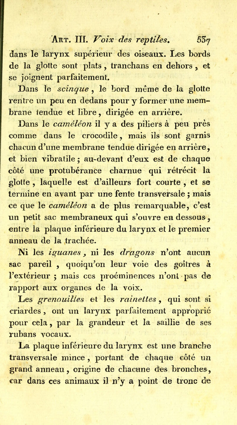 dans le larynx supérieur des oiseaux. Les bords de la glotte sont plats, tranchans en dehors , et se joignent parfaitement. Dans le scinque , le bord même de la glotte rentre un peu en dedans pour y former une mem- brane tendue et libre, dirigée en arrière. Dans le caméléon il y a des piliers à peu près comme dans le crocodile, mais ils sont garnis chacun d’une membrane tendue dirigée en arrière, et bien vibratile ; au-devant d’eux est de chaque côté une protubérance charnue qui rétrécit la glotte , laquelle est d’ailleurs fort courte , et se termine en ayant par une fente transversale ; mais ce que le caméléon a de plus remarquable, c’est un petit sac membraneux qui s’ouvre en dessous , entre la plaque inférieure du larynx et le premier anneau de la trachée. Ni les iguanes y ni les dragons n’ont aucun sac pareil , quoiqu’on leur voie des goitres à l’extérieur ; mais ces proéminences n’onl pas de rapport aux organes de la voix. Les grenouilles et les rainettes , qui sont si criardes , ont un larynx parfaitement approprié pour cela, par la grandeur et la saillie de ses rubans vocaux. La plaque inférieure du larynx est une branche transversale mmce, portant de chaque côté un grand anneau, origine de chacune des bronches, car dans ces animaux il n*y a point de tronc de