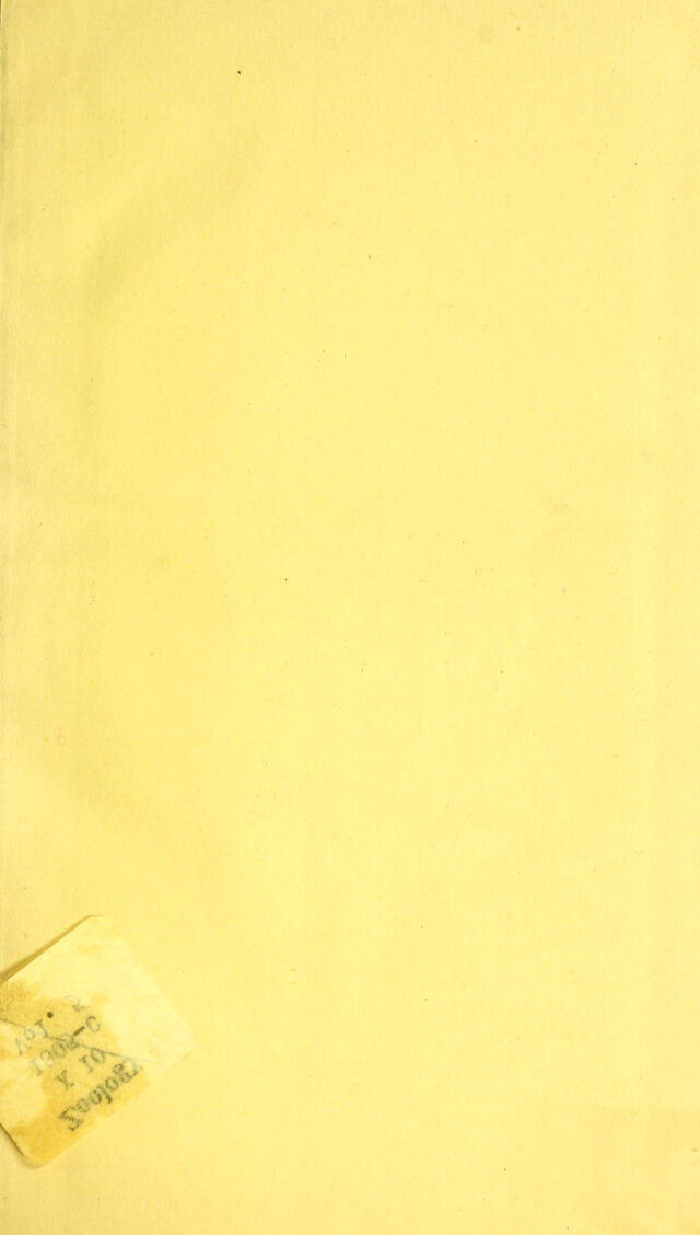 digitised image 3
