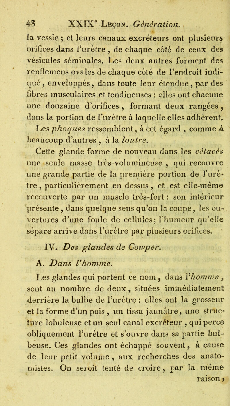 la vessie ; et leurs canaux excréteurs ont plusieurs orifices dans l’urètre , de chaque côté de ceux des vésicules séminales. Les deux autres forment des renfîemens ovales de chaque côté de l’endroit indi- qué, enveloppés, dans toute leur étendue, par des fibres musculaires et tendineuses : elles ont chacune une douzaine d’orifices , formant deux rangées , dans la portion de l’urètre à laquelle elles adhèrent. Les phoques ressemblent, à cet égard , comme à beaucoup d’autres , à la loutre. Cette glande forme de nouveau dans les cétacés une seule niasse très-volumineuse , qui recouvre une grande partie de la première portion de l’urè- tre , particulièrement en dessus, et est elle-même recouverte par un muscle très-fort : son intérieur présente, dans quelque sens qu’on la coupe, les ou- vertures d’une foule de cellules; l’humeur qu’elle sépare arrive dans l’urètre par plusieurs orifices. IV. Des glandes de Cowper. A. Dans Vhomme. Les glandes qui portent ce nom , dans l'homme , sont au nombre de deux, situées immédiatement derrière la bulbe de l’urètre : elles ont la grosseur et la forme d’un pois , un tissu jaunâtre, une struc- ture lobuleuse et un seul canal excréteur , qui perce obliquement l’urètre et s’ouvre dans sa partie bul- beuse. Ces glandes ont échappé souvent, à cause de leur petit volume, aux recherches des anato- mistes. On seroit tenté de croire , par la même raison »