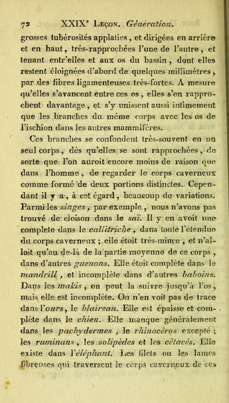 grosses tubérosités applalies , et dirigées en arrière et en haut, très-rapprochées l’une de l’autre, et tenant entr elles et aux os du bassin, dont elles restent éloignées d’abord de quelques millimètres , par des libres ligamenteuses très-fortes. A mesure qu’elles s’avancent entre ces os , elles s’en rappro- chent davantage , et s’y unissent aussi intimement que les branches du même corps avec les os de l’ischion dans les autres mammifères. Ces branches se confondent très-souvent en un seul corps, dès qu’elles se sont rapprochées, do sorte que l'on auroit encore moins de raison que dans l’homme , de regarder le corps caverneux comme formé de deux portions distinctes. Cepen- dant il y a, à cet égard, beaucoup de variations. Parmi les singes , par exemple , nous n’avons pas trouvé de cloison dans le saï. Il y en avoit une complété dans le caUiiriche , dans tonie l’étendue du corps caverneux ; elle étoit très-mince , et n’al- loit qu’au de-là de la partie moyenne de ce corps , dans d’autres guenons. Elle étoit complète dans le mandrill, et incomplète dans d’autres haboins. Dans les makis, on peut la suivre jusqu’à l’os, mais elle est incomplète. On n’en voit pas de trace dansl’owrs, le blaireau. Elle est épaisse et corn- , plète dans le chien. Elle manque généralement dans les pachydermes , le rhinocéros excepté ; les ruminans, les solipèdes et les cétacés. Elle existe dans Y éléphant. Des filets ou les lame» fibreuses qui traversent le corps caverneux de ces