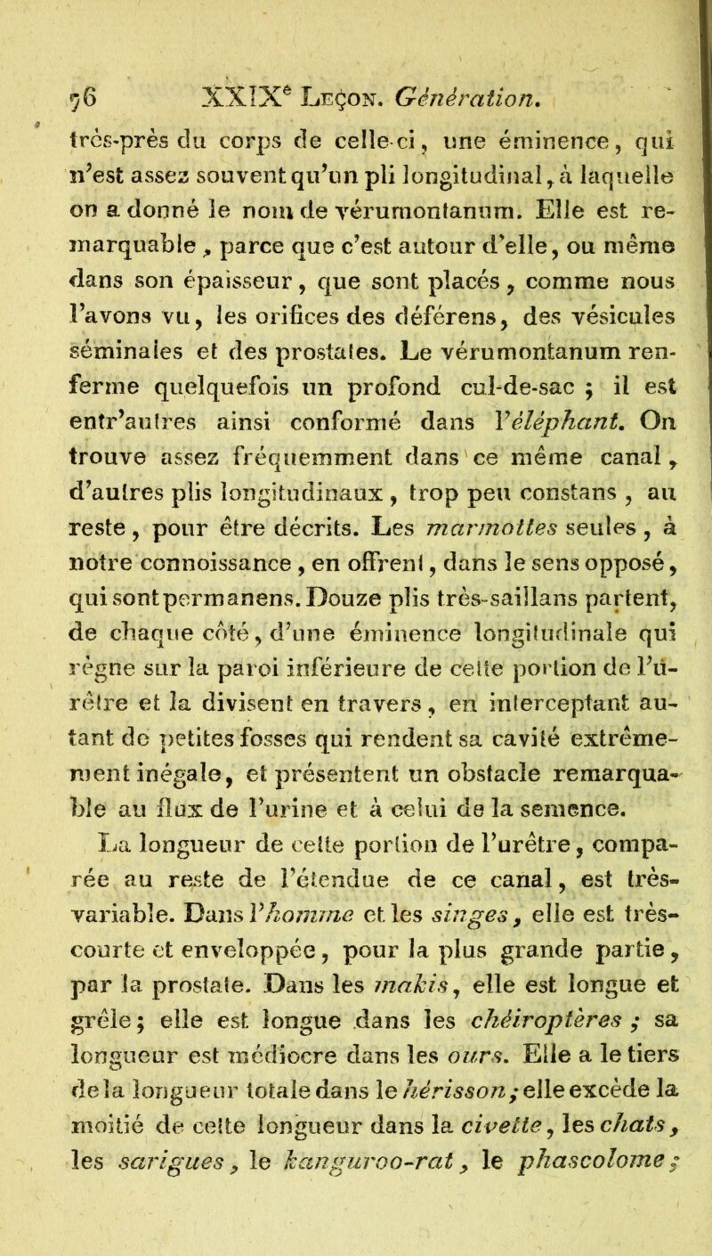 très-près du corps de celle ci, une éminence , qui n’est assez souvent qu’un pli longitudinal, à laquelle on adonné le nom de vérumontanum. Elle est re- marquable , parce que c’est autour d’elle, ou même dans son épaisseur, que sont placés, comme nous l’avons vu, les orifices des déférens, des vésicules séminales et des prostates. Le vérumontanum ren- ferme quelquefois un profond cul-de-sac ; il est entr’autres ainsi conformé dans Y éléphant. On trouve assez fréquemment dans ce même canal , d’autres plis longitudinaux , trop peu constans , au reste , pour être décrits. Les marmottes seules , à notre connoissance , en offrent, dans le sens opposé, qui sontpermanens. Douze plis très-saillans partent, de chaque côté, d’une éminence longitudinale qui règne sur la paroi inférieure de cette portion de l’u- rètre et la divisent en travers , en interceptant au- tant de petites fosses qui rendent sa cavité extrême- ment inégale, et présentent un obstacle remarqua- ble au flux de l’urine et à celui de la semence. La longueur de cette portion de l’urêtre, compa- rée au reste de l’étendue de ce canal, est très- variable. Dans Y homme et les singes, elle est très- courte et enveloppée , pour la plus grande partie, par la prostate. Dans les makis, elle est longue et grêle ; elle est longue dans les chéiroptères ; sa longueur est médiocre dans les ours. Elle a le tiers delà longueur totale dans le hérisson;elle excède la moitié de cette longueur dans la civette, les chats , les sarigues, le kànguroo-rat, le phascolome ,•