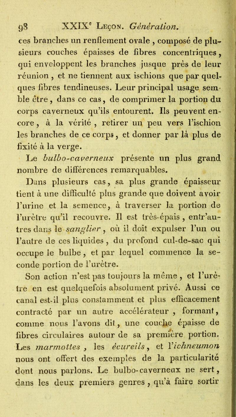 ces brandies un renflement ovale , composé de plu- sieurs couches épaisses de fibres concentriques, qui enveloppent les branches jusque près de leur réunion , et ne tiennent aux ischions que par quel- ques fibres tendineuses. Leur principal usage sem- ble être , dans ce cas, de comprimer la portion du corps caverneux qu’ils entourent. Ils peuvent en- core , à la vérité , retirer un peu vers l’ischion les branches de ce corps, et donner par là plus de fixité à la verge. Le bulbo-caverneux présente un plus grand nombre de différences remarquables. Dans plusieurs cas, sa plus grande épaisseur tient à une difficulté plus grande que doivent avoir l’urine et la semence, à traverser la portion de l’urètre qu’il recouvre. Il est très-épais, entr’au- très dans le sanglier , où il doit expulser l’un ou l’autre de ces liquides , du profond cul-de-sac qui occupe le bulbe, et par lequel commence la se- conde portion de l’urètre. Son action n’est pas toujours la même , et l’urè- tre en est quelquefois absolument privé. Aussi ce canal est-il plus constamment et plus efficacement contracté par un autre accélérateur , formant, comme nous l’avons dit, une couche épaisse de fibres circulaires autour de sa première portion. Les marmottes , les ècureils, et Yichneumon nous ont offert des exemples de la particularité dont nous parlons. Le bulbo-caverneux ne sert, dans les deux premiers genres , qu’à faire sortir