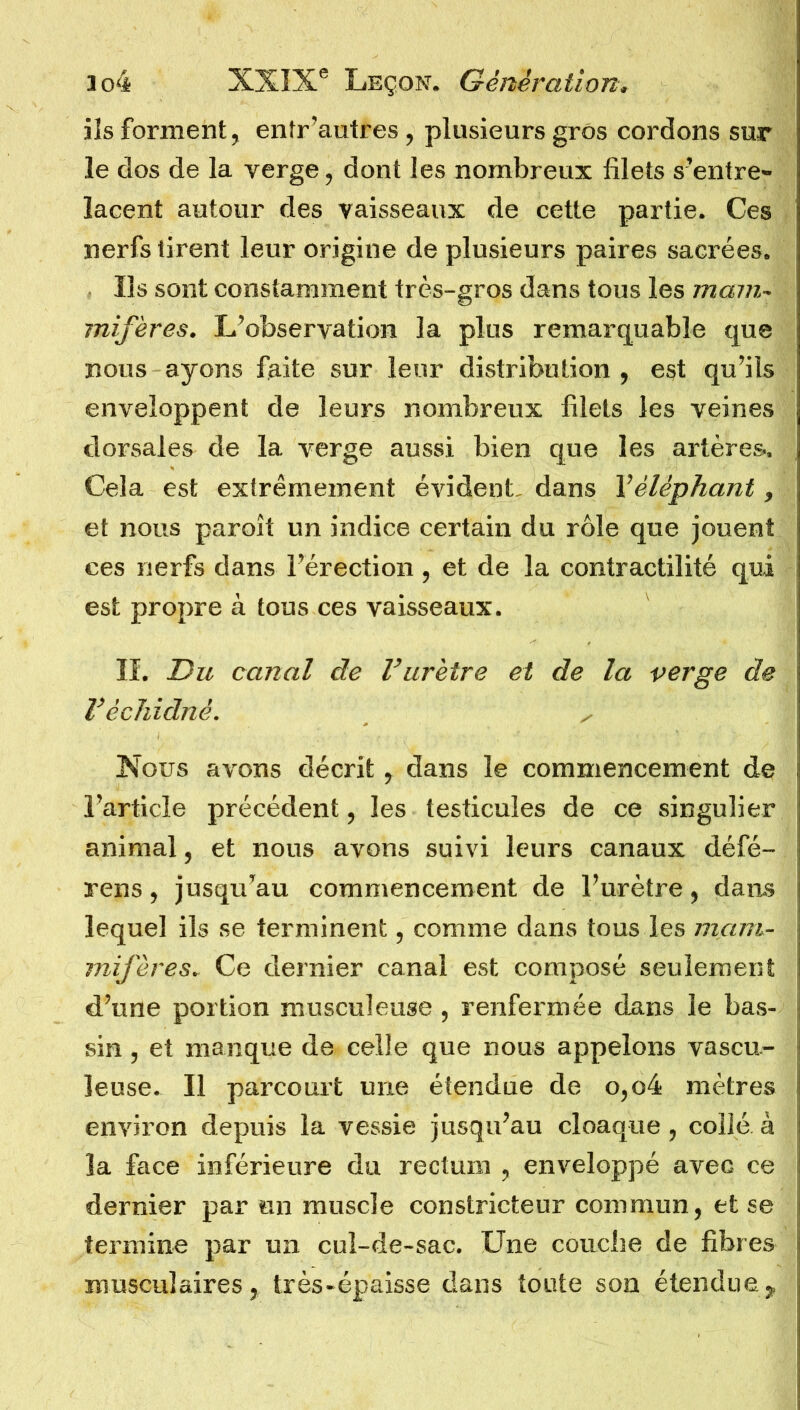 ils forment, entr’autres , plusieurs gros cordons sur le dos de la verge, dont les nombreux filets s’entre- lacent autour des vaisseaux de cette partie. Ces nerfs tirent leur origine de plusieurs paires sacrées. Us sont constamment très-gros dans tous les mam- mifères. L’observation la plus remarquable que nous ayons faite sur leur distribution , est qu’ils enveloppent de leurs nombreux filets les veines dorsales de la verge aussi bien que les artères. Cela est extrêmement évident, dans Véléphant, et nous paroît un indice certain du rôle que jouent ces nerfs dans l’érection , et de la contractilité qui est propre à tous ces vaisseaux. II. Du canal de Vurètre et de la verge de V èchidnè. , Nous avons décrit, dans le commencement de l’article précédent, les testicules de ce singulier animal, et nous avons suivi leurs canaux défé- rens, jusqu’au commencement de l’urètre, dans lequel ils se terminent, comme dans tous les mam- mifères. Ce dernier canal est composé seulement d’une portion musculeuse, renfermée dans le bas- sin , et manque de celle que nous appelons vascu- leuse. 11 parcourt une étendue de o,o4 mètres environ depuis la vessie jusqu’au cloaque , collé à la face inférieure du rectum , enveloppé avec ce dernier par un muscle constricteur commun, et se termine par un cul-de-sac. Une couche de fibres musculaires, très-épaisse dans toute son étendue.