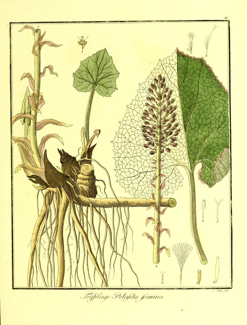 ////Y/Ys/yr YSYY/y/A'r ybew/'/ia