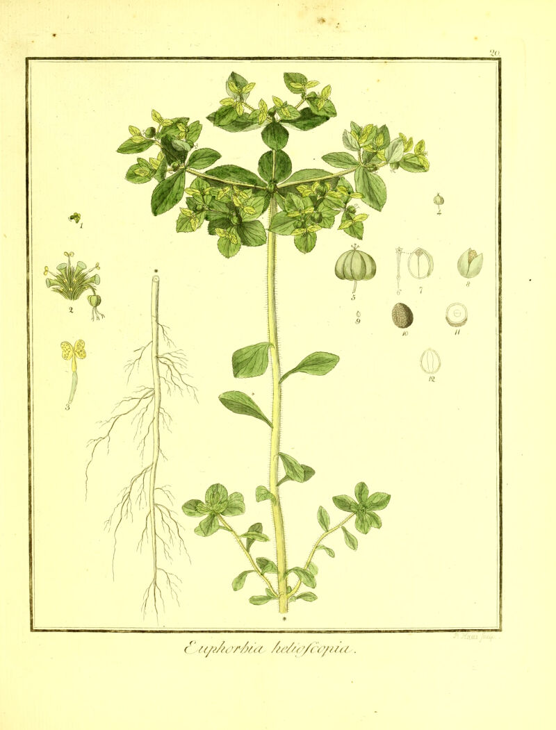 No text description is available for this image